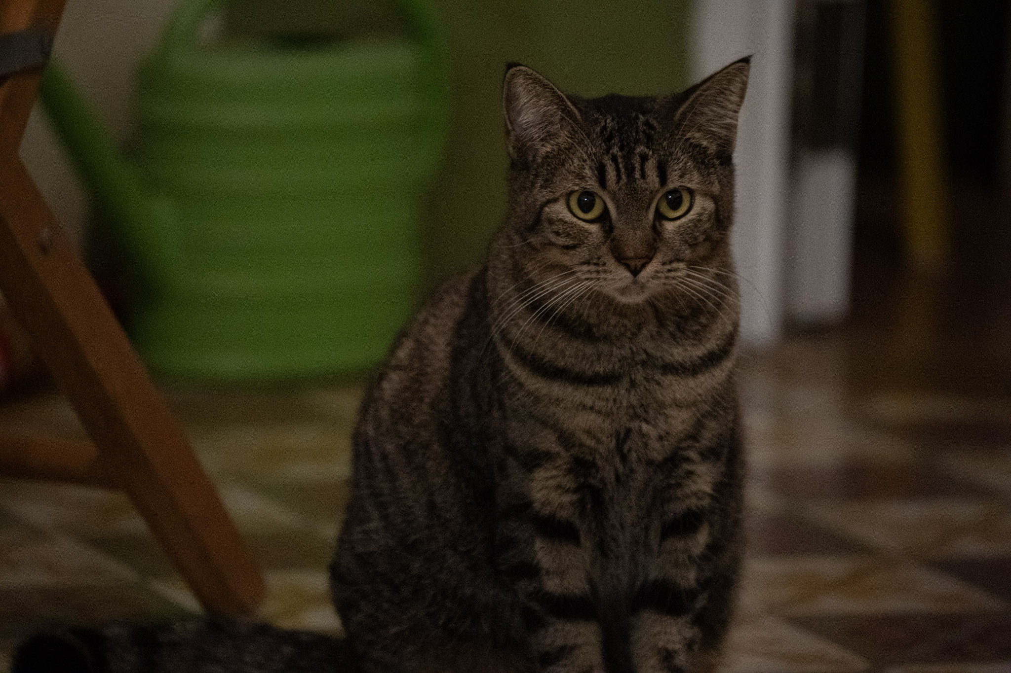 2020-12-28_Santa_Rita - foto 166