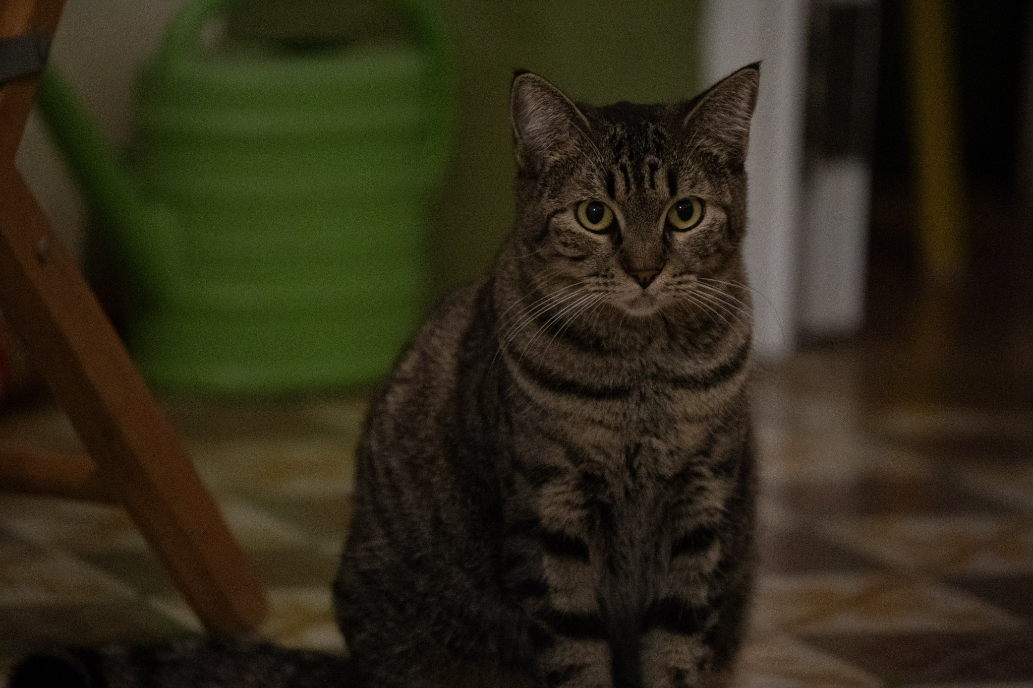 2020-12-28_Santa_Rita - foto 167