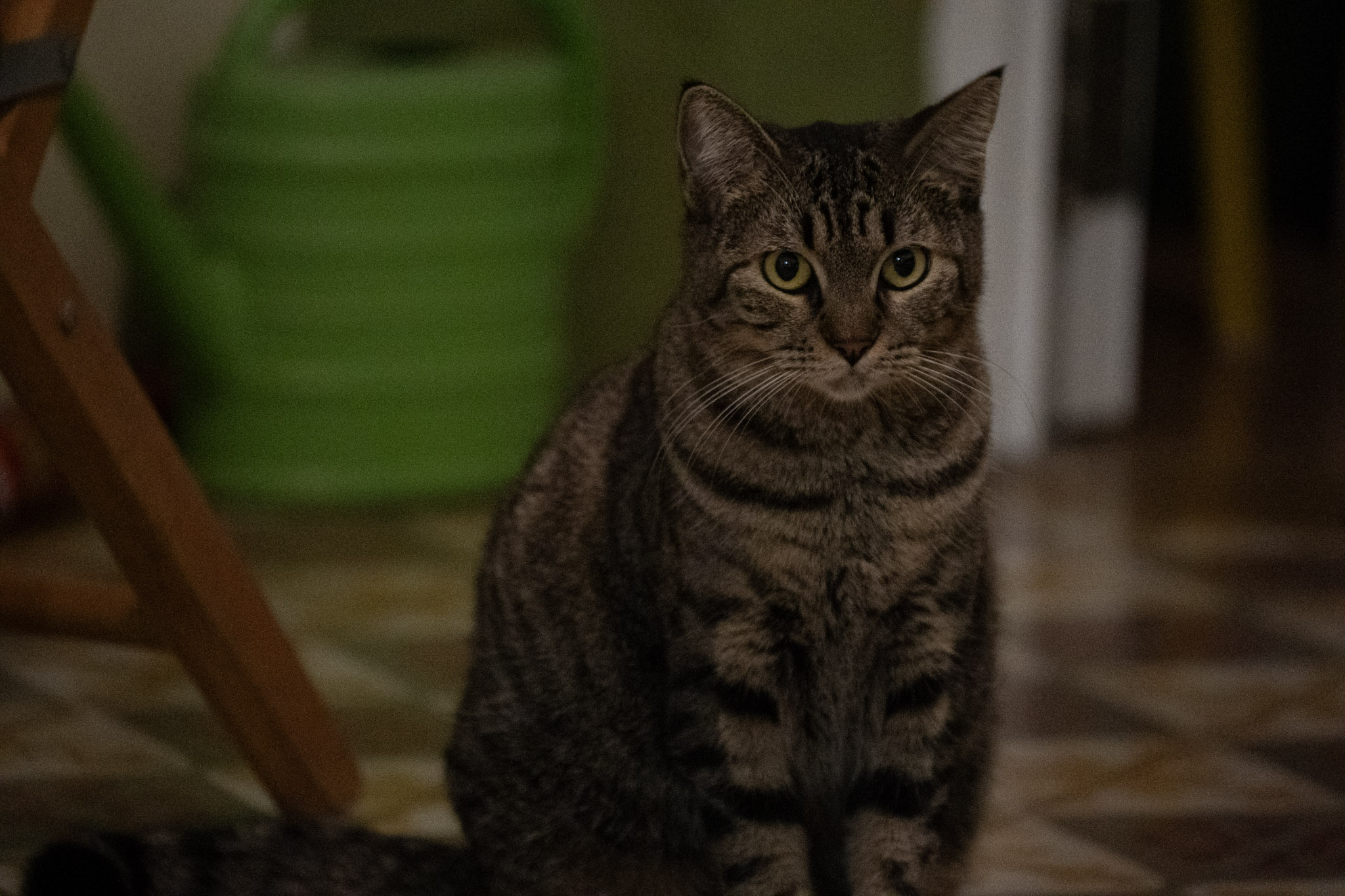 2020-12-28_Santa_Rita - foto 168