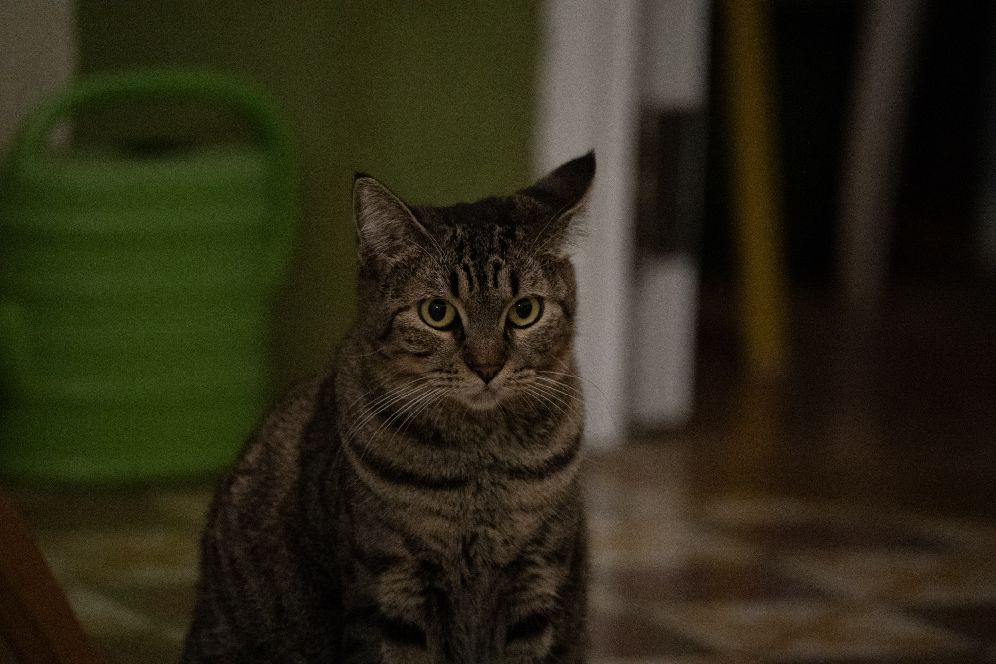 2020-12-28_Santa_Rita - foto 169