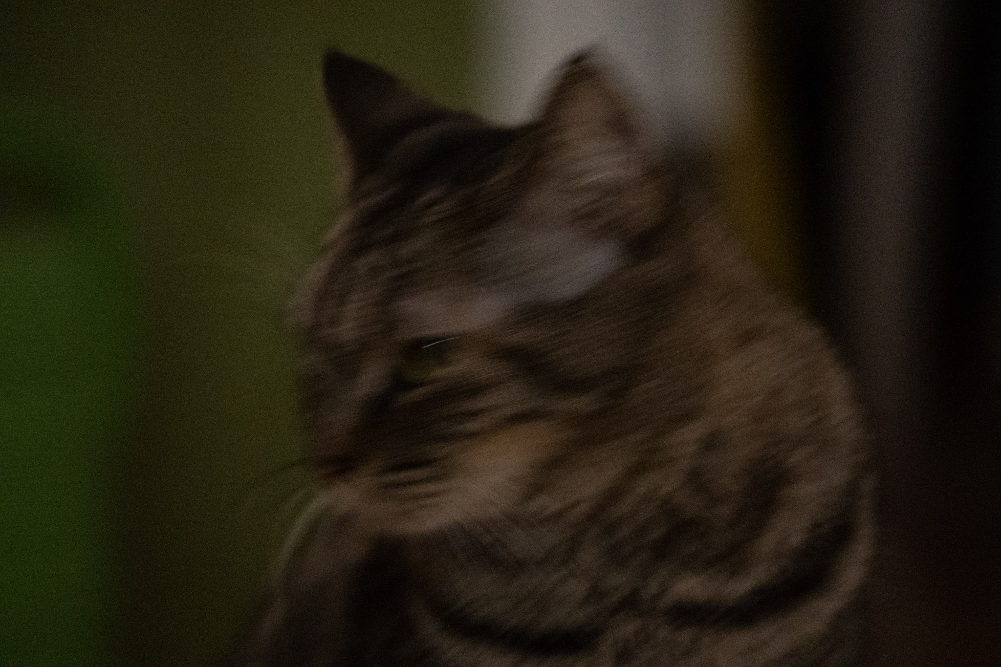 2020-12-28_Santa_Rita - foto 170