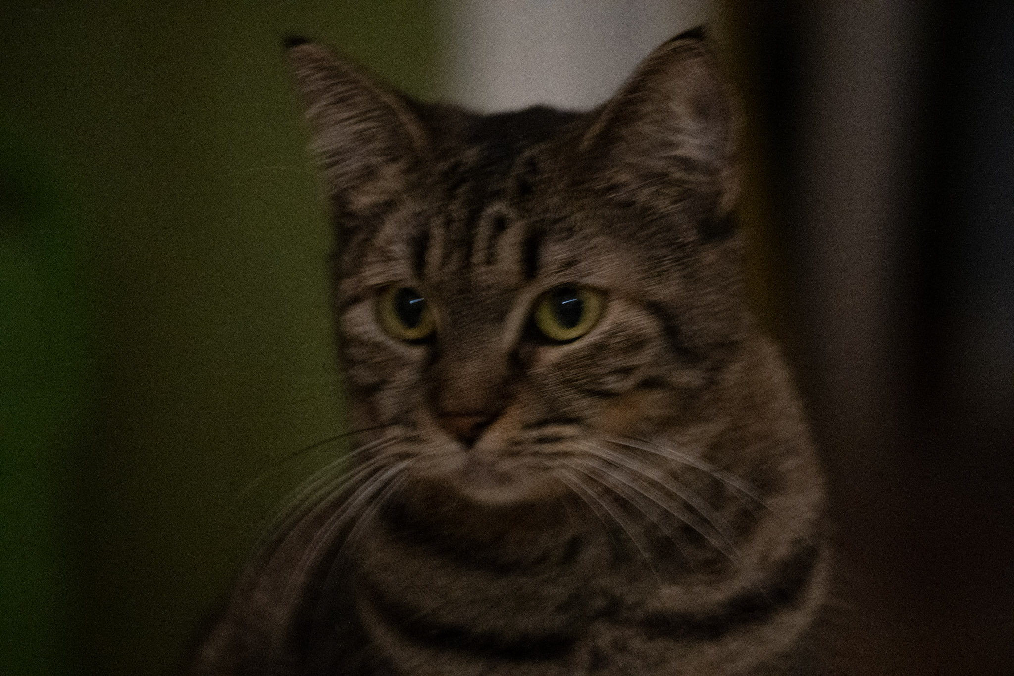 2020-12-28_Santa_Rita - foto 171