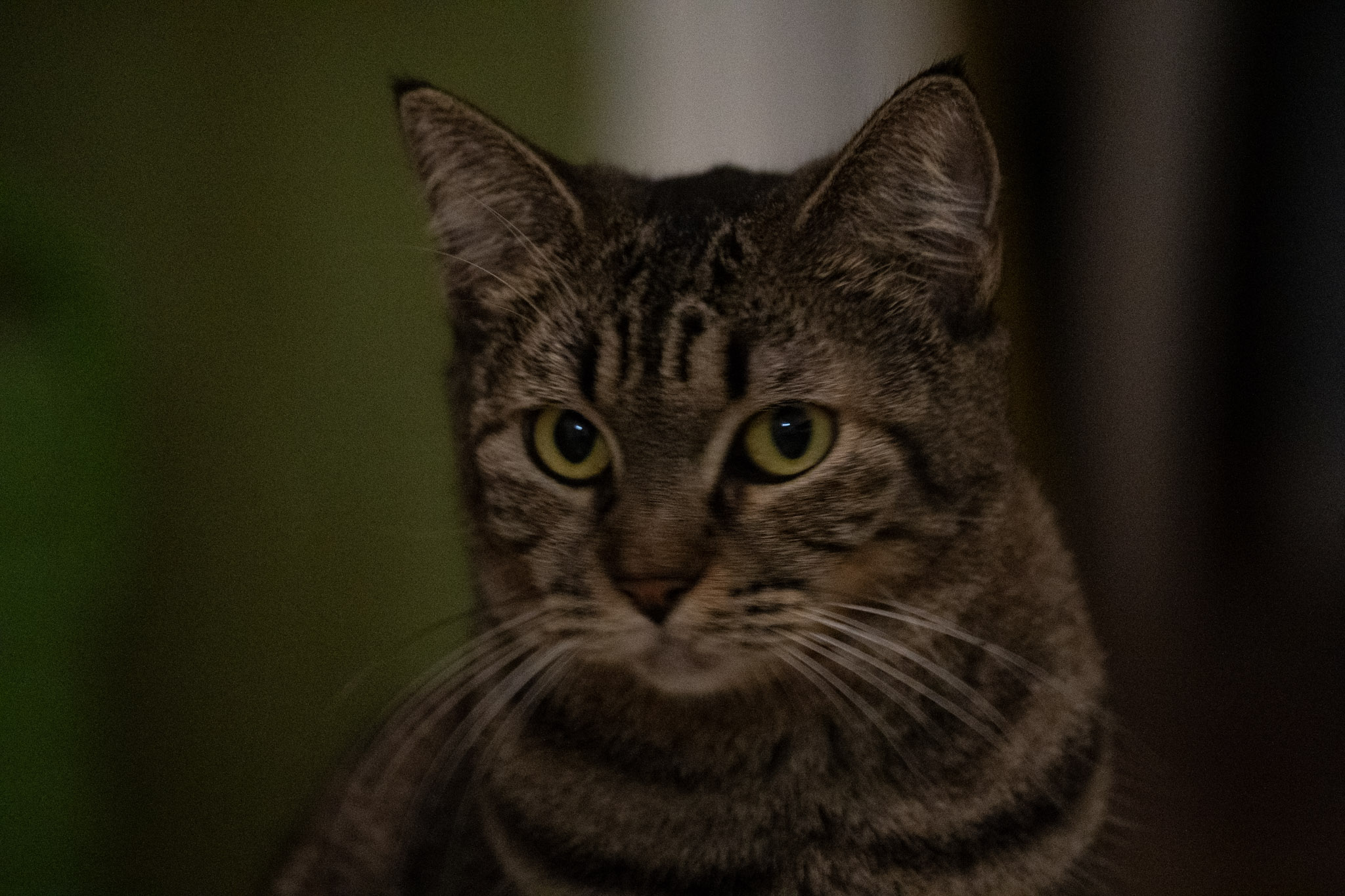 2020-12-28_Santa_Rita - foto 172