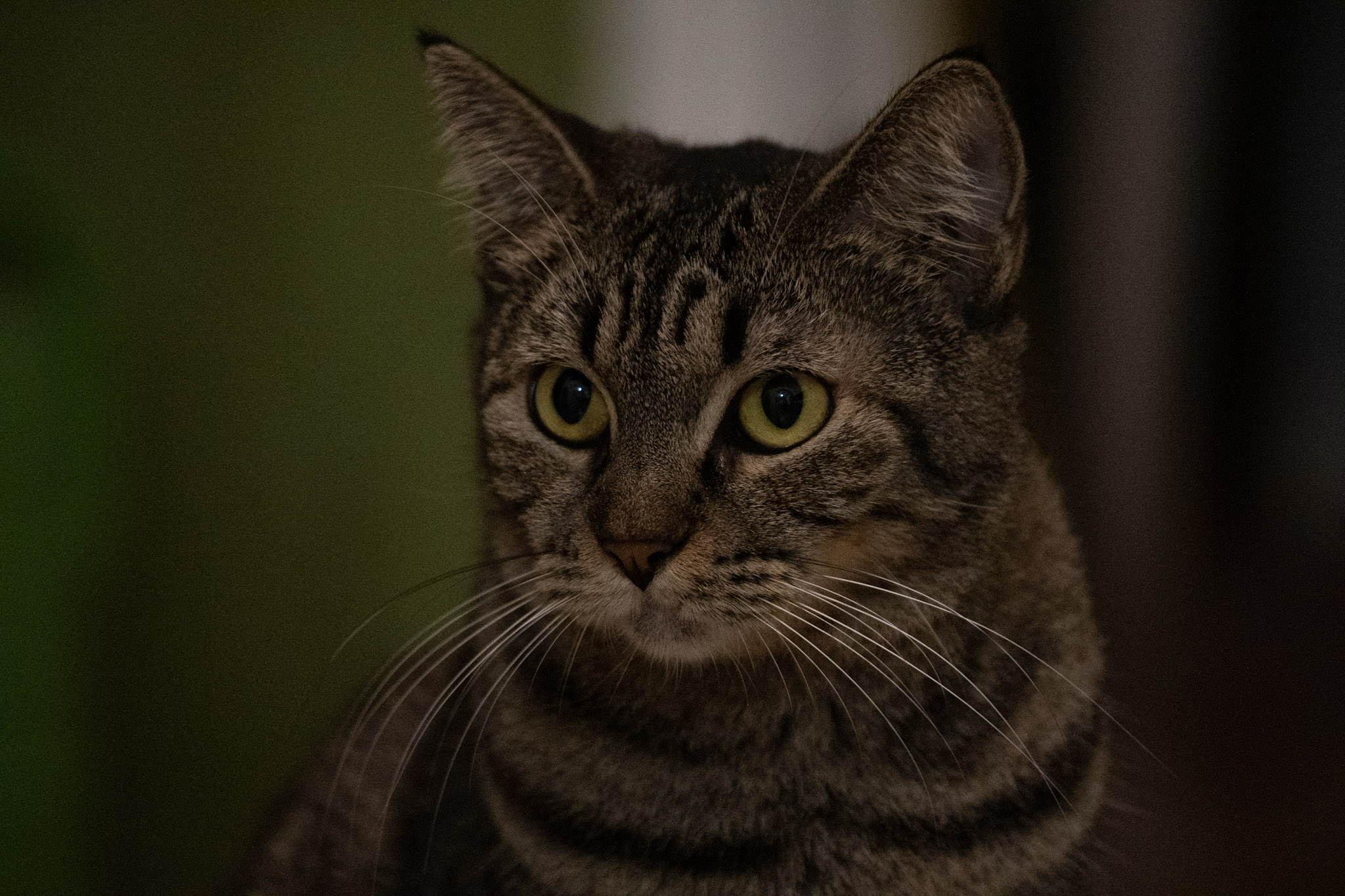 2020-12-28_Santa_Rita - foto 173