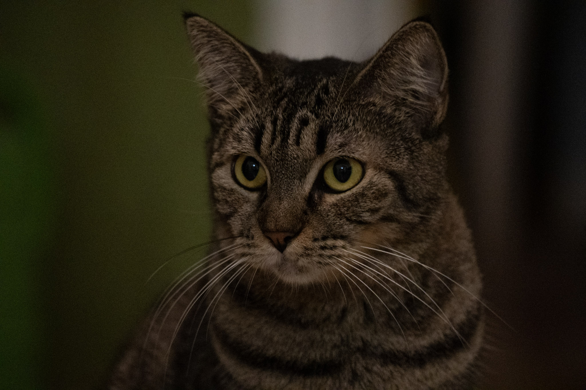 2020-12-28_Santa_Rita - foto 175