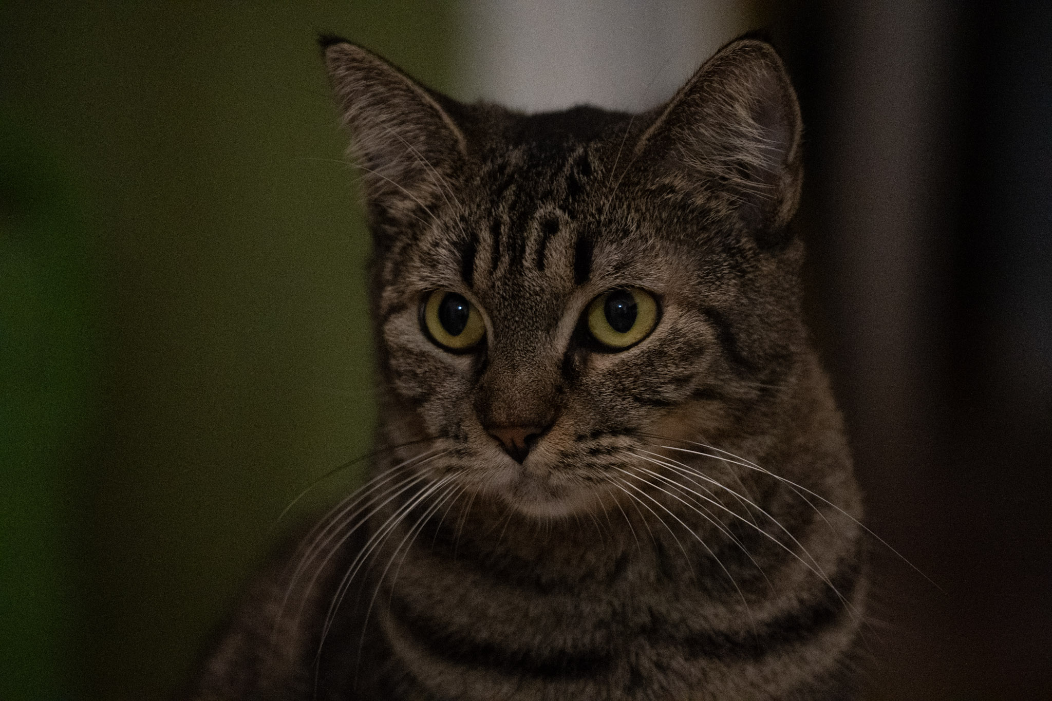 2020-12-28_Santa_Rita - foto 176