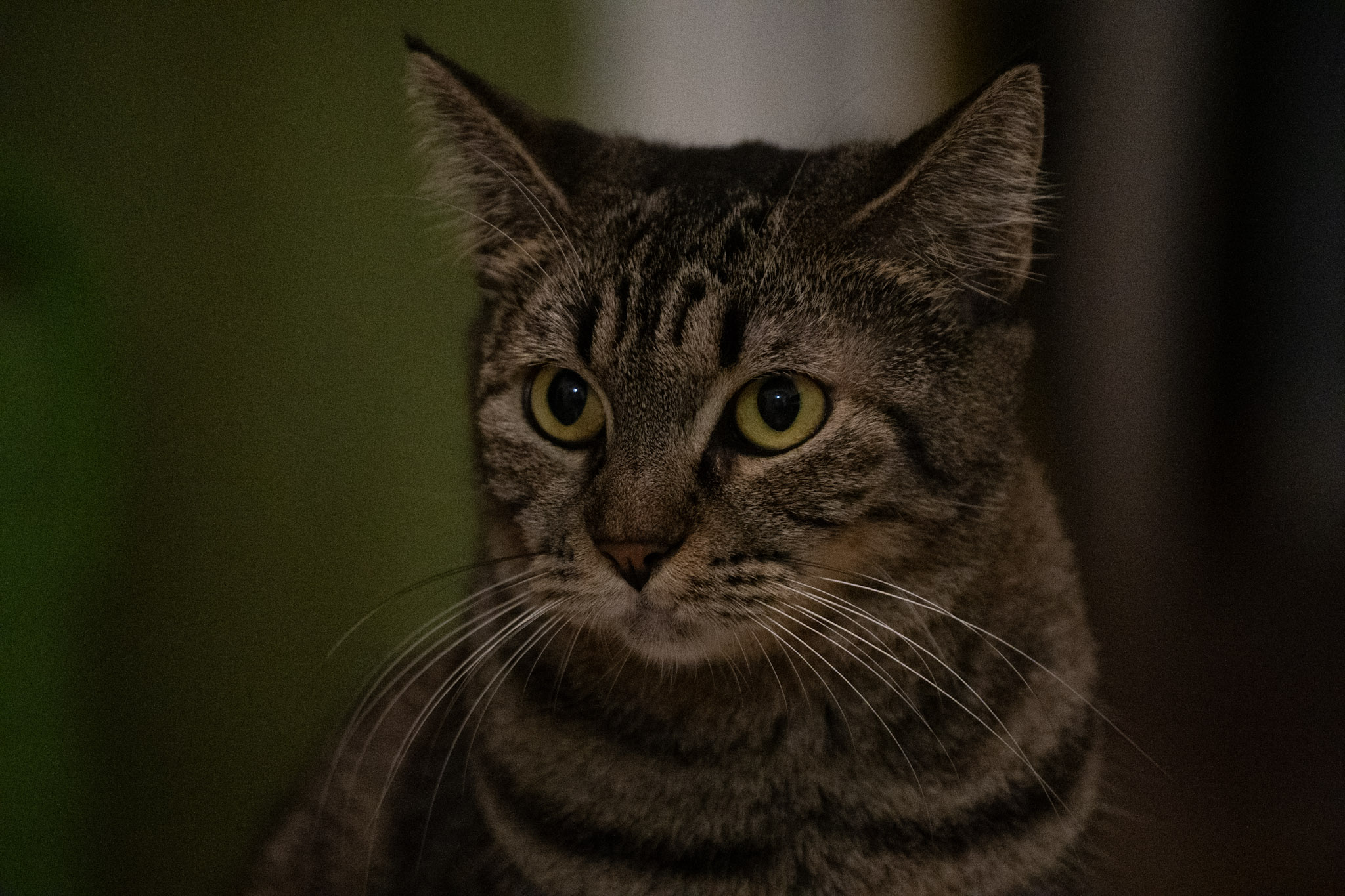 2020-12-28_Santa_Rita - foto 177