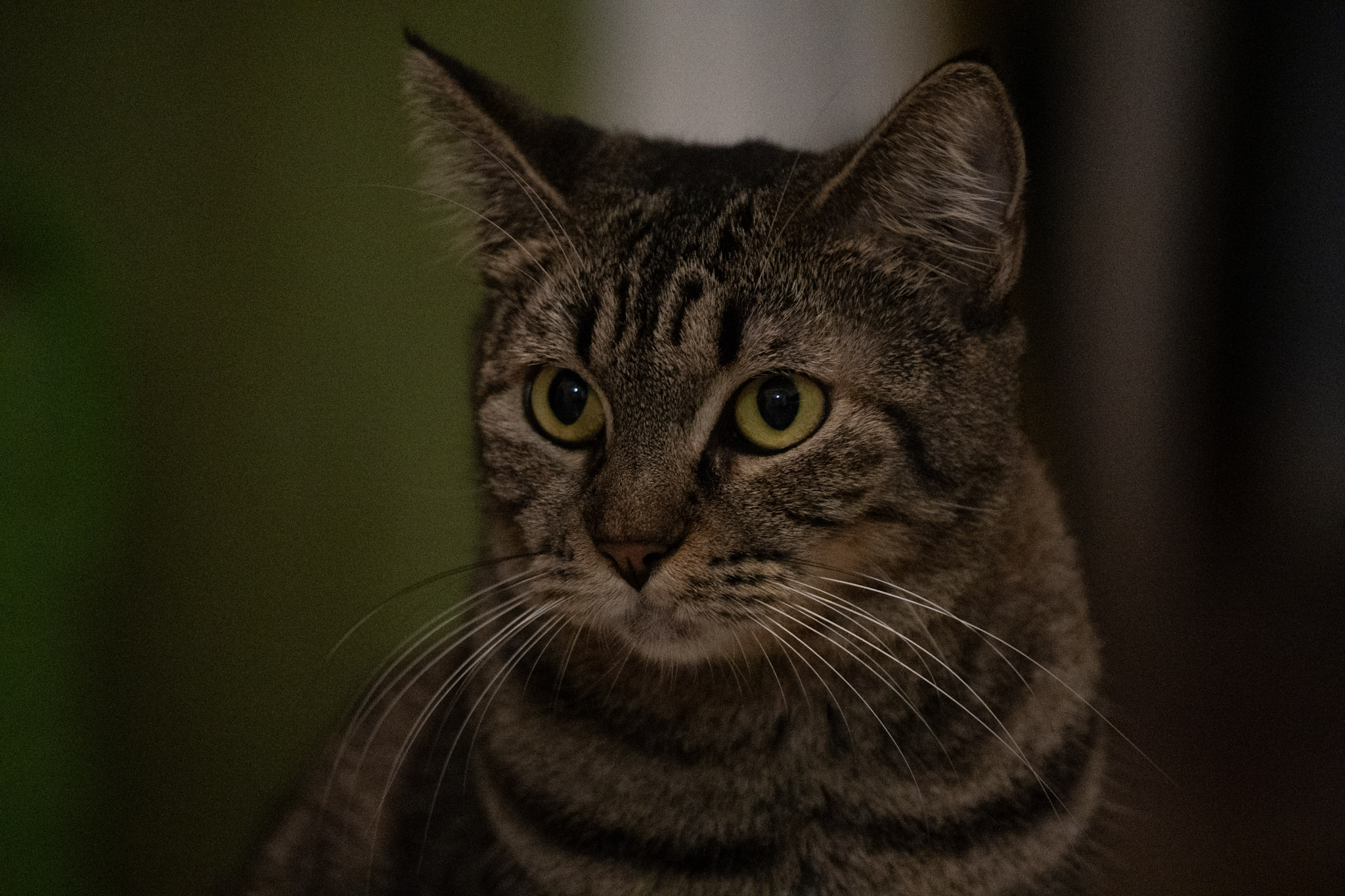 2020-12-28_Santa_Rita - foto 178