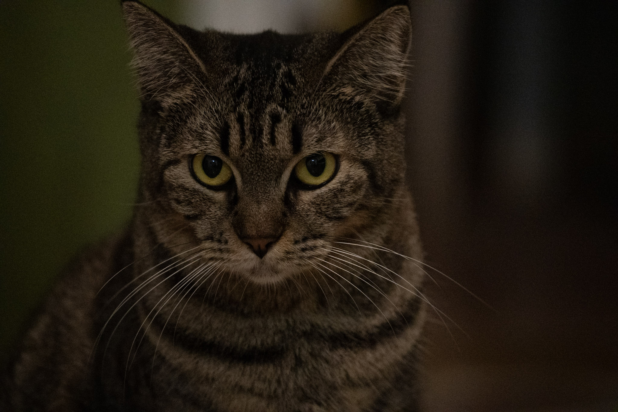 2020-12-28_Santa_Rita - foto 179