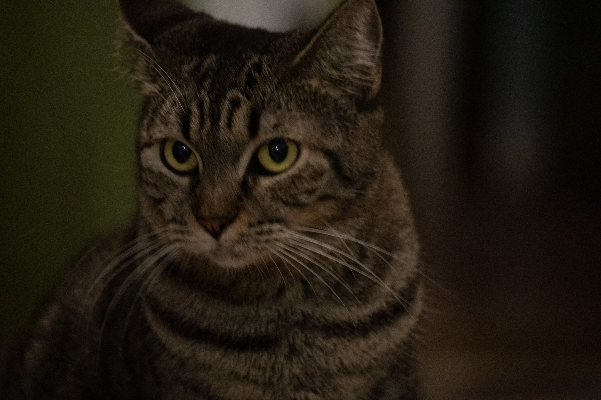 2020-12-28_Santa_Rita - foto 180