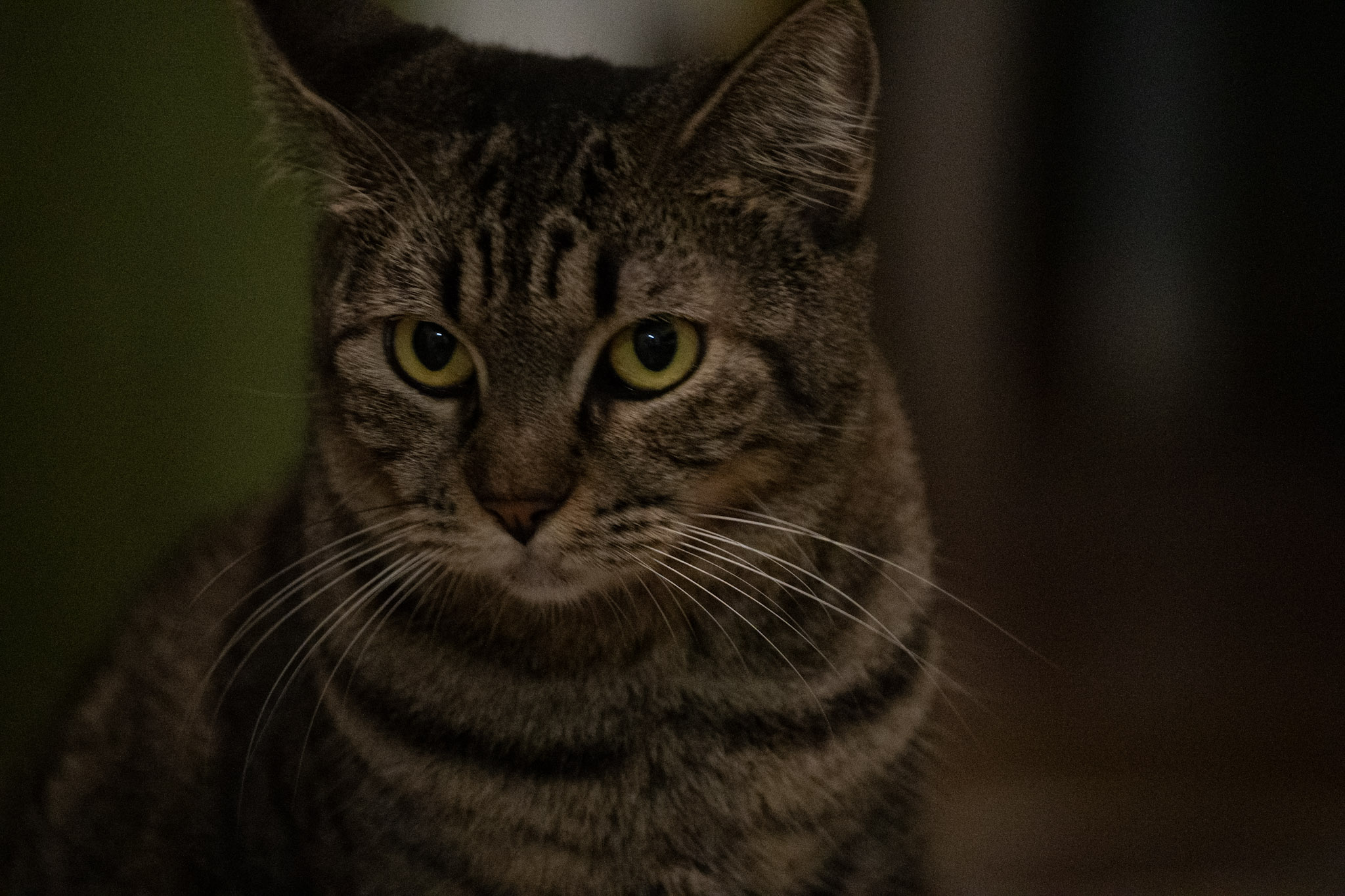 2020-12-28_Santa_Rita - foto 181