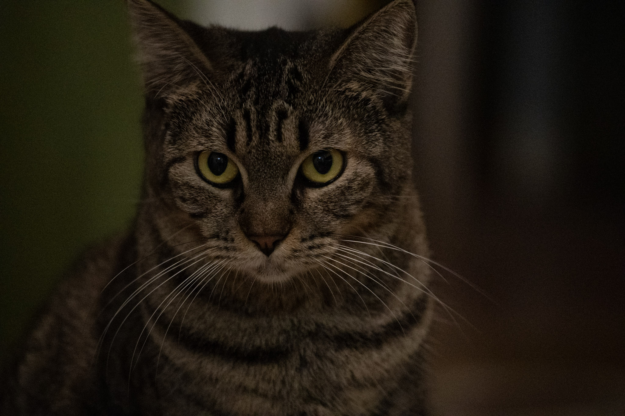 2020-12-28_Santa_Rita - foto 182