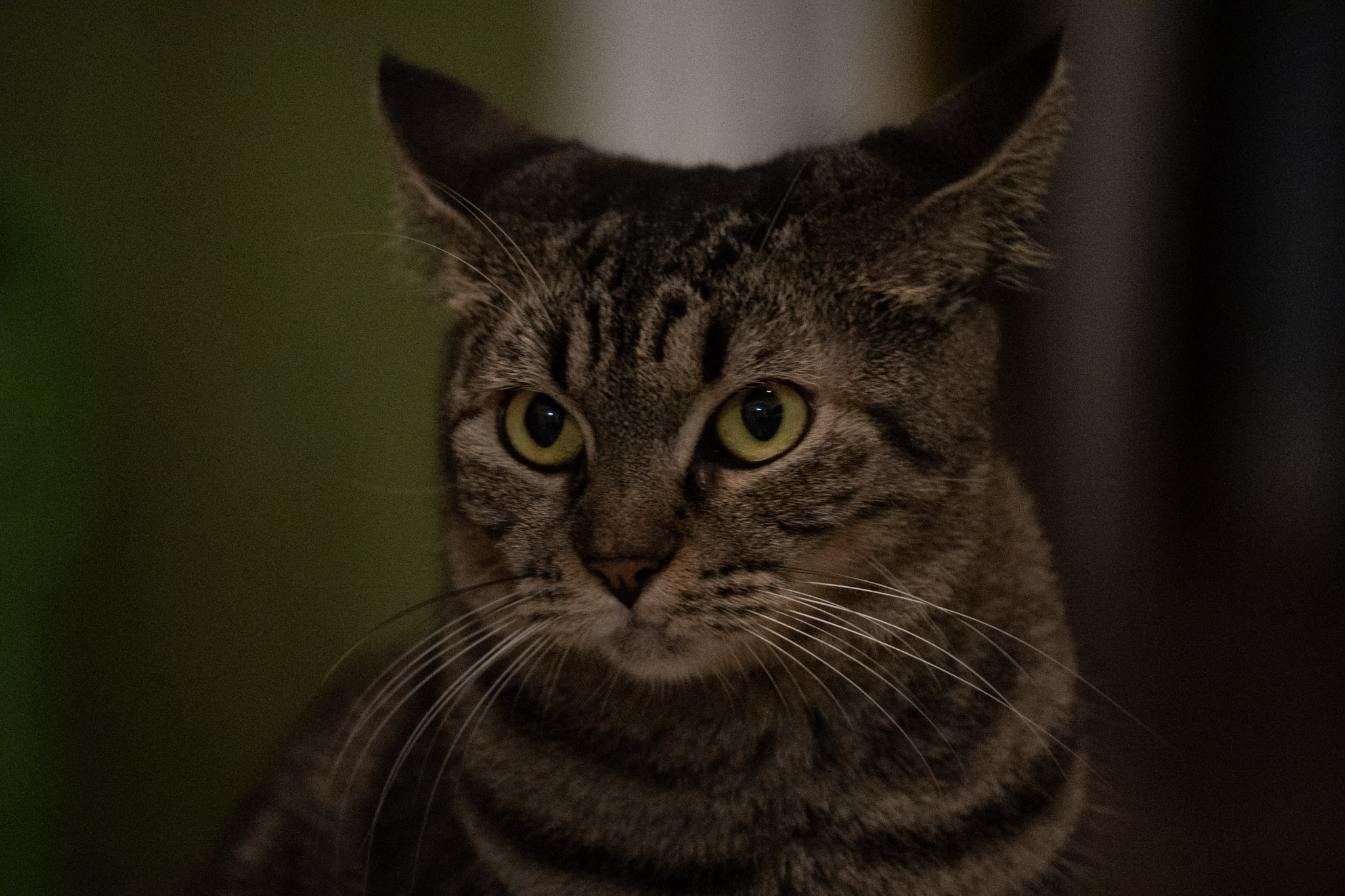 2020-12-28_Santa_Rita - foto 183