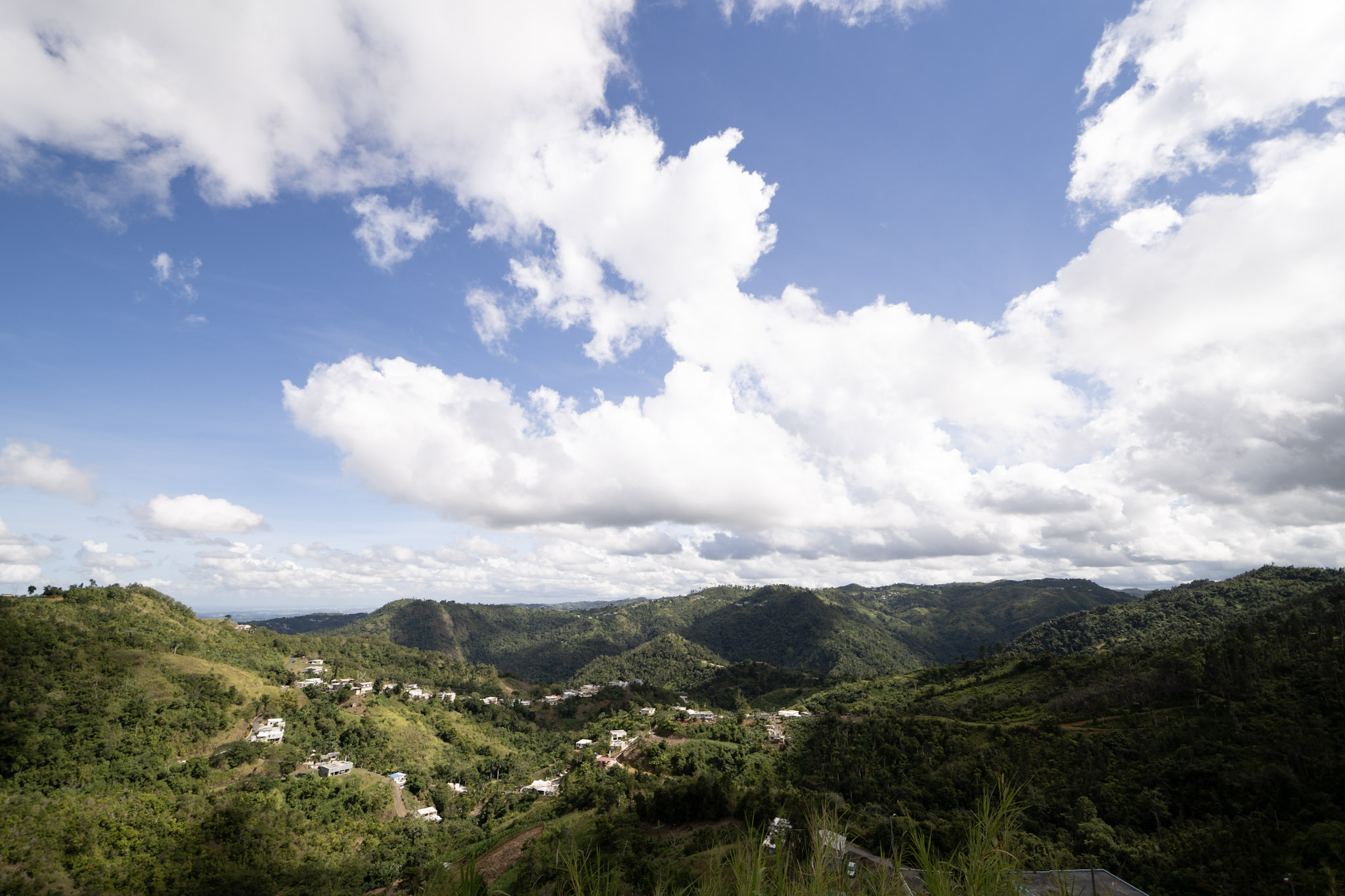 2020-12-28_Toro_Verde - foto 3