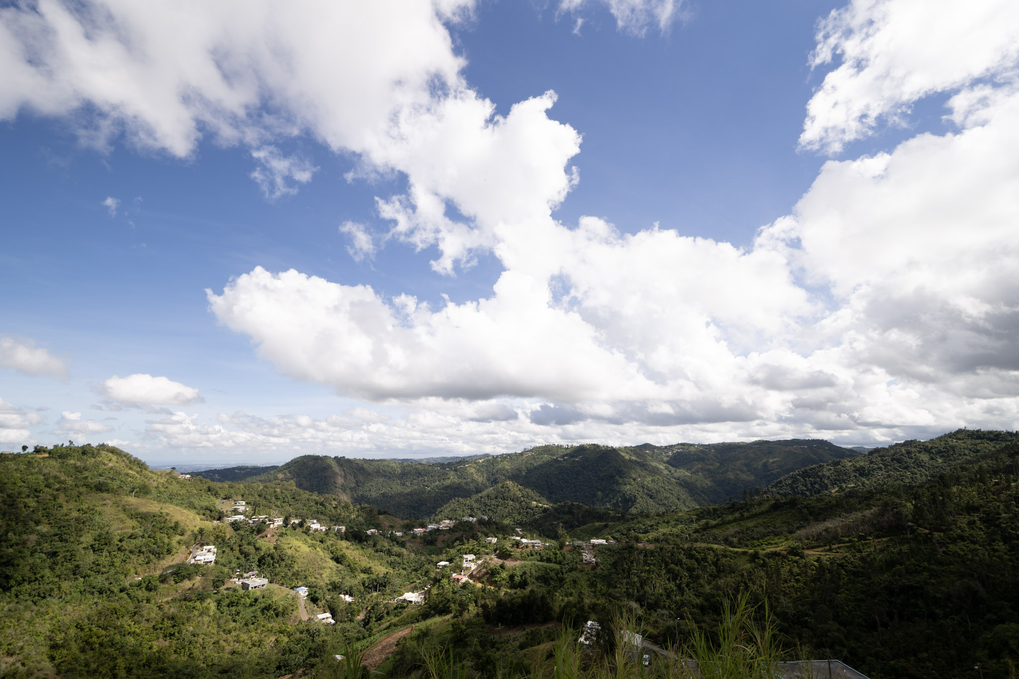 2020-12-28_Toro_Verde - foto 4