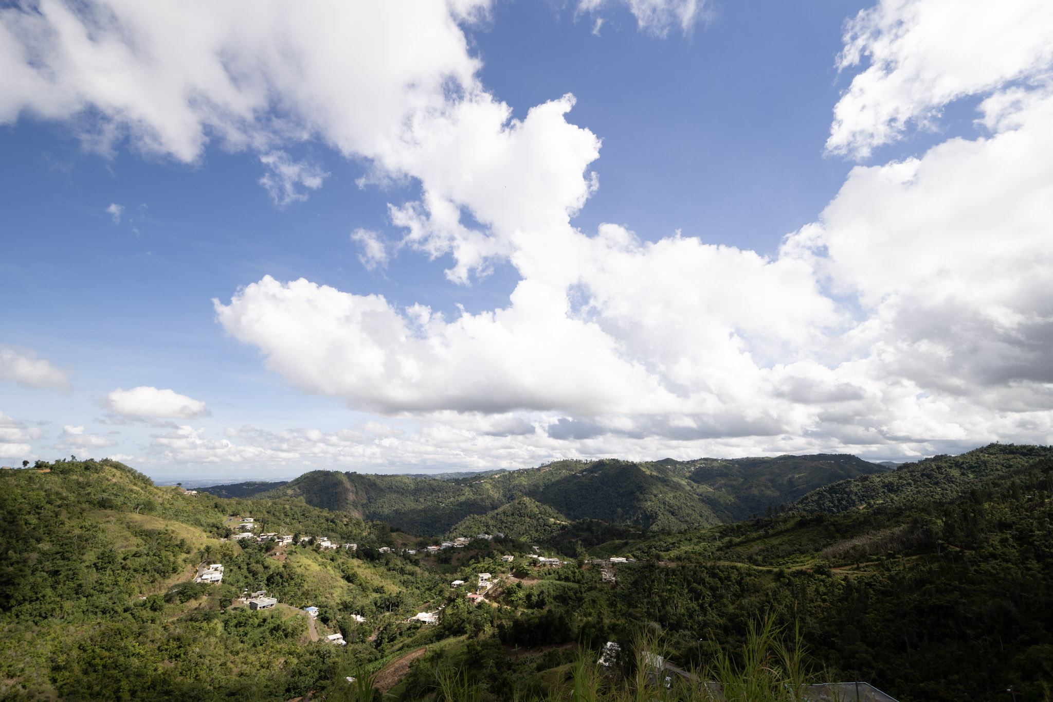 2020-12-28_Toro_Verde - foto 5