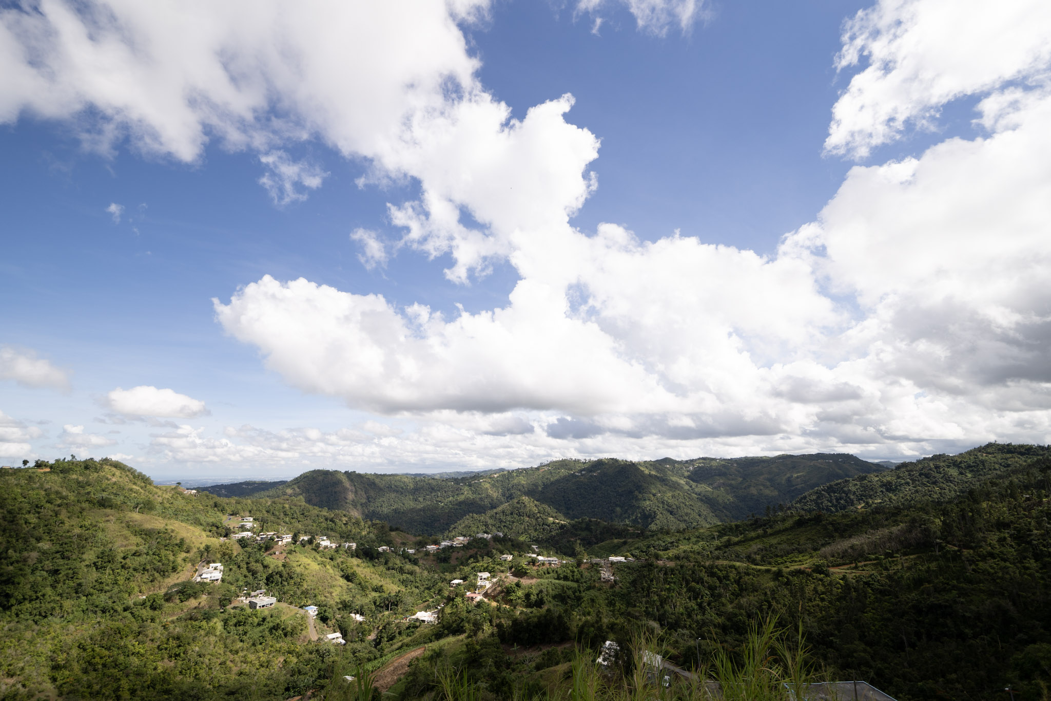 2020-12-28_Toro_Verde - foto 6