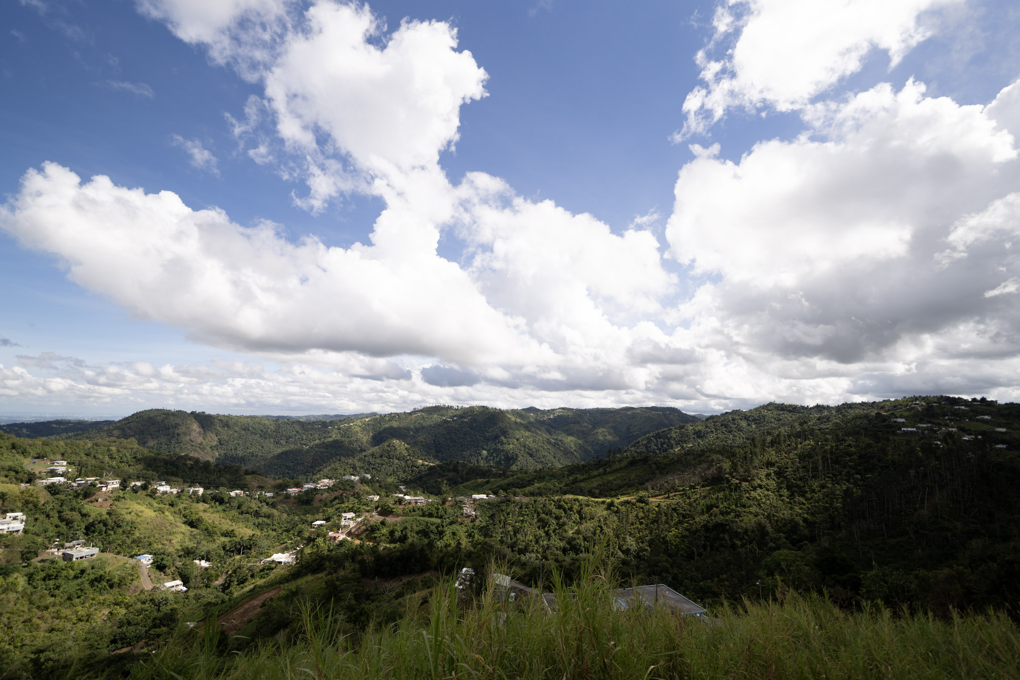 2020-12-28_Toro_Verde - foto 8