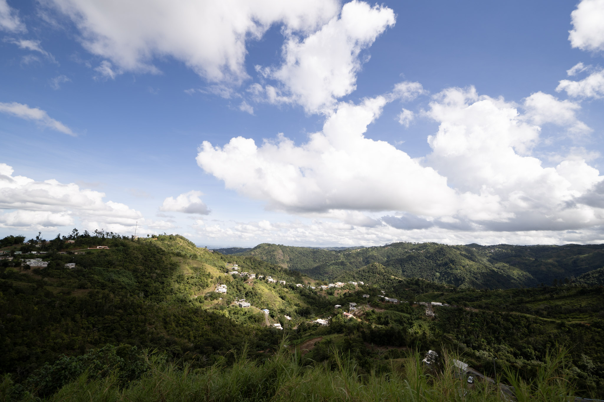 2020-12-28_Toro_Verde - foto 10