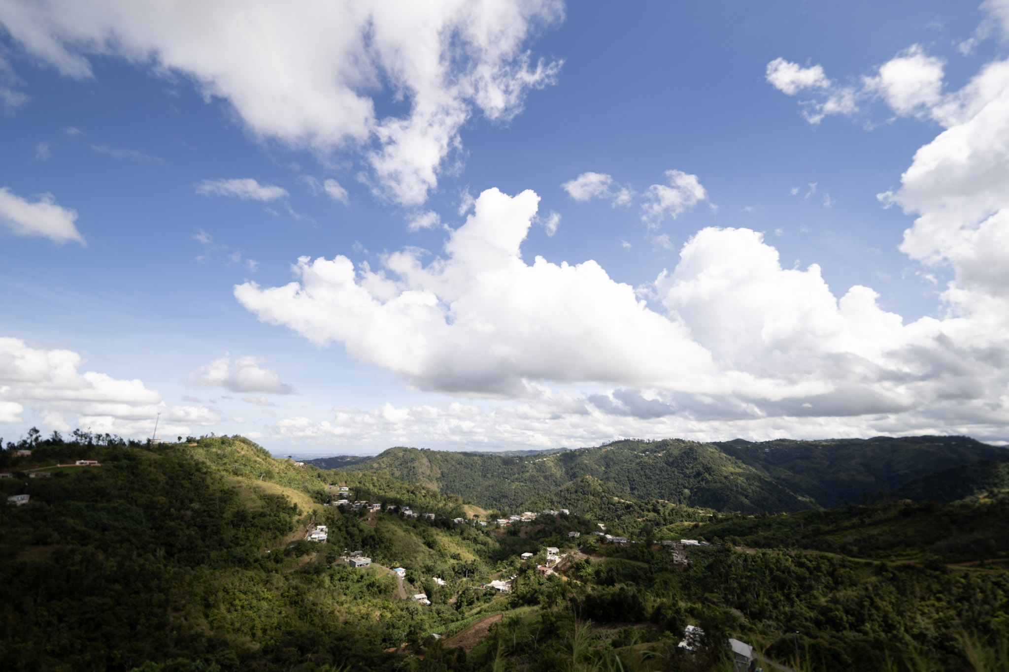 2020-12-28_Toro_Verde - foto 15