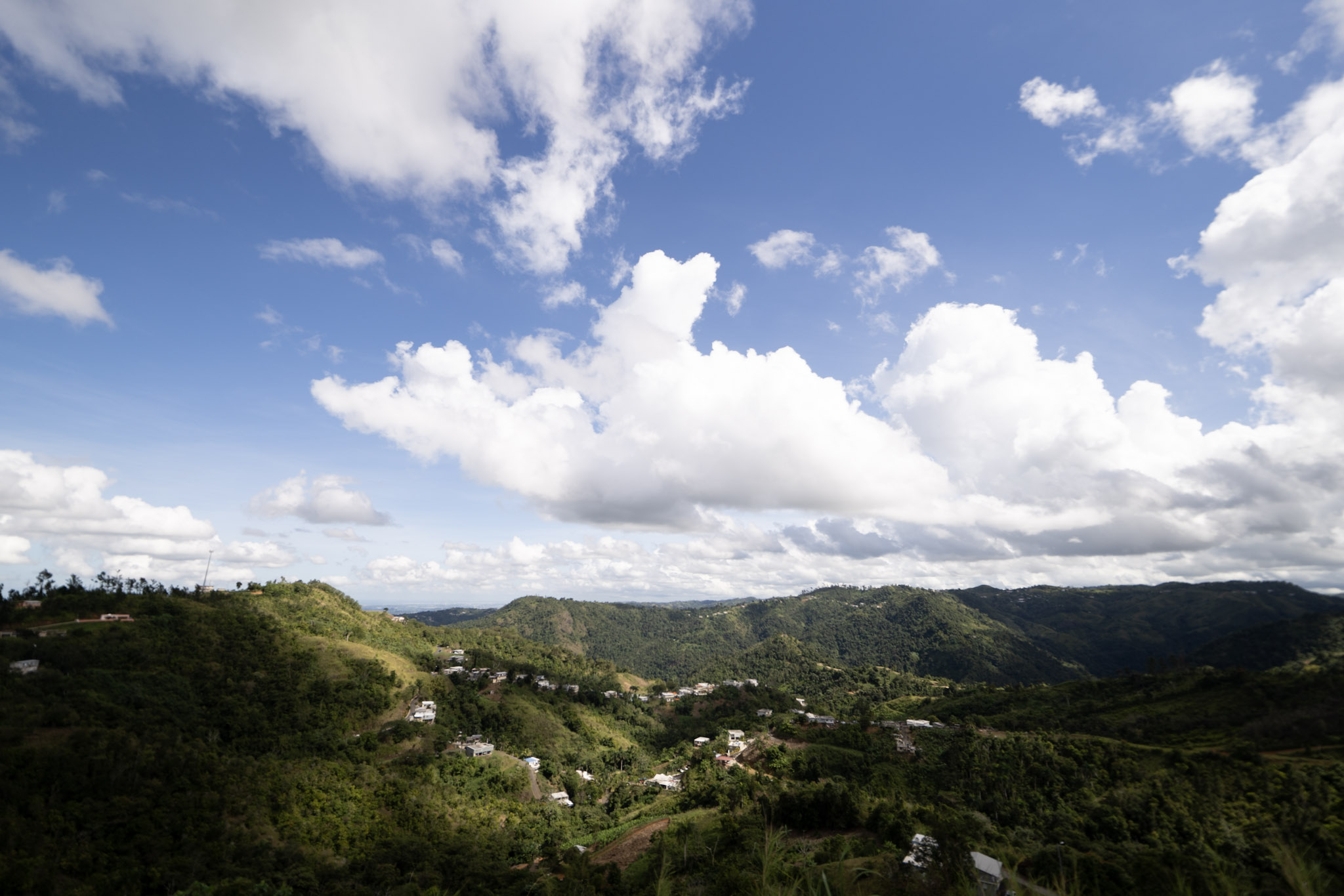 2020-12-28_Toro_Verde - foto 17