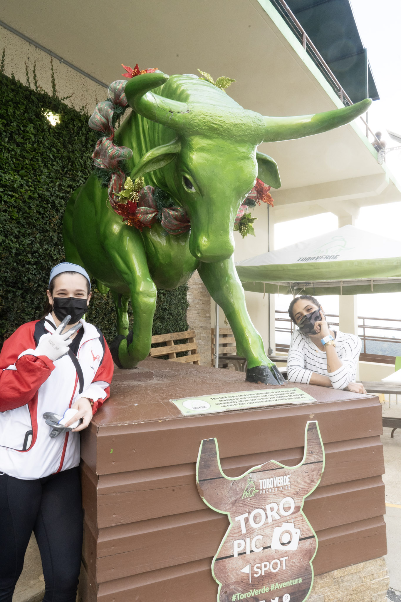 2020-12-28_Toro_Verde - foto 30