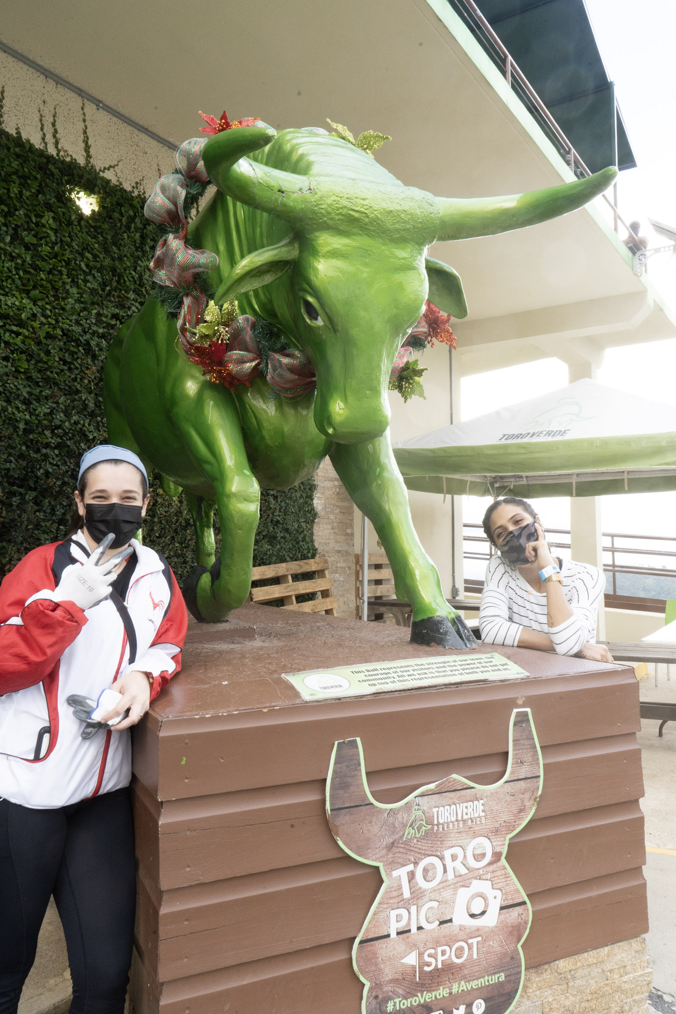 2020-12-28_Toro_Verde - foto 31