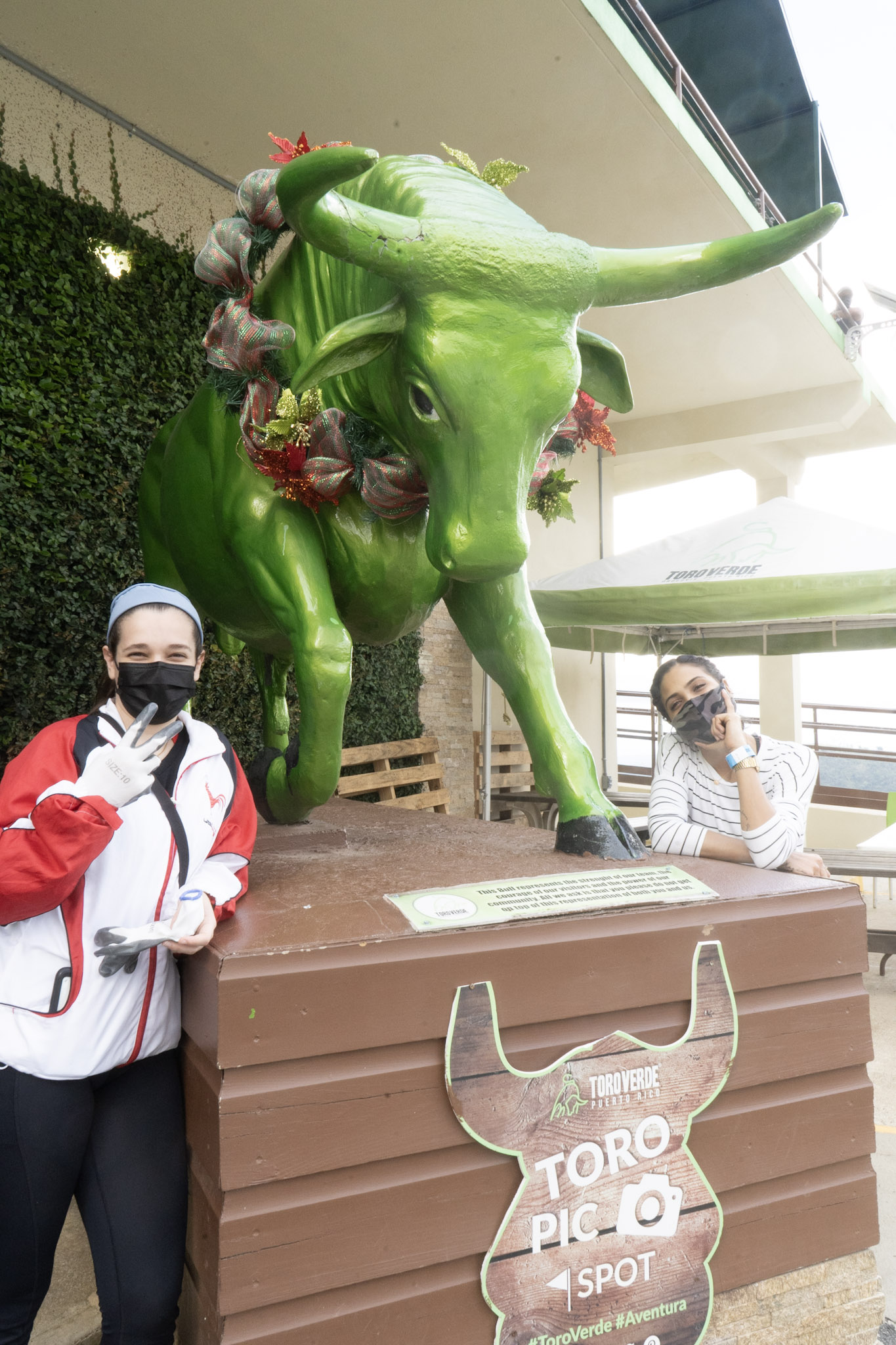 2020-12-28_Toro_Verde - foto 32