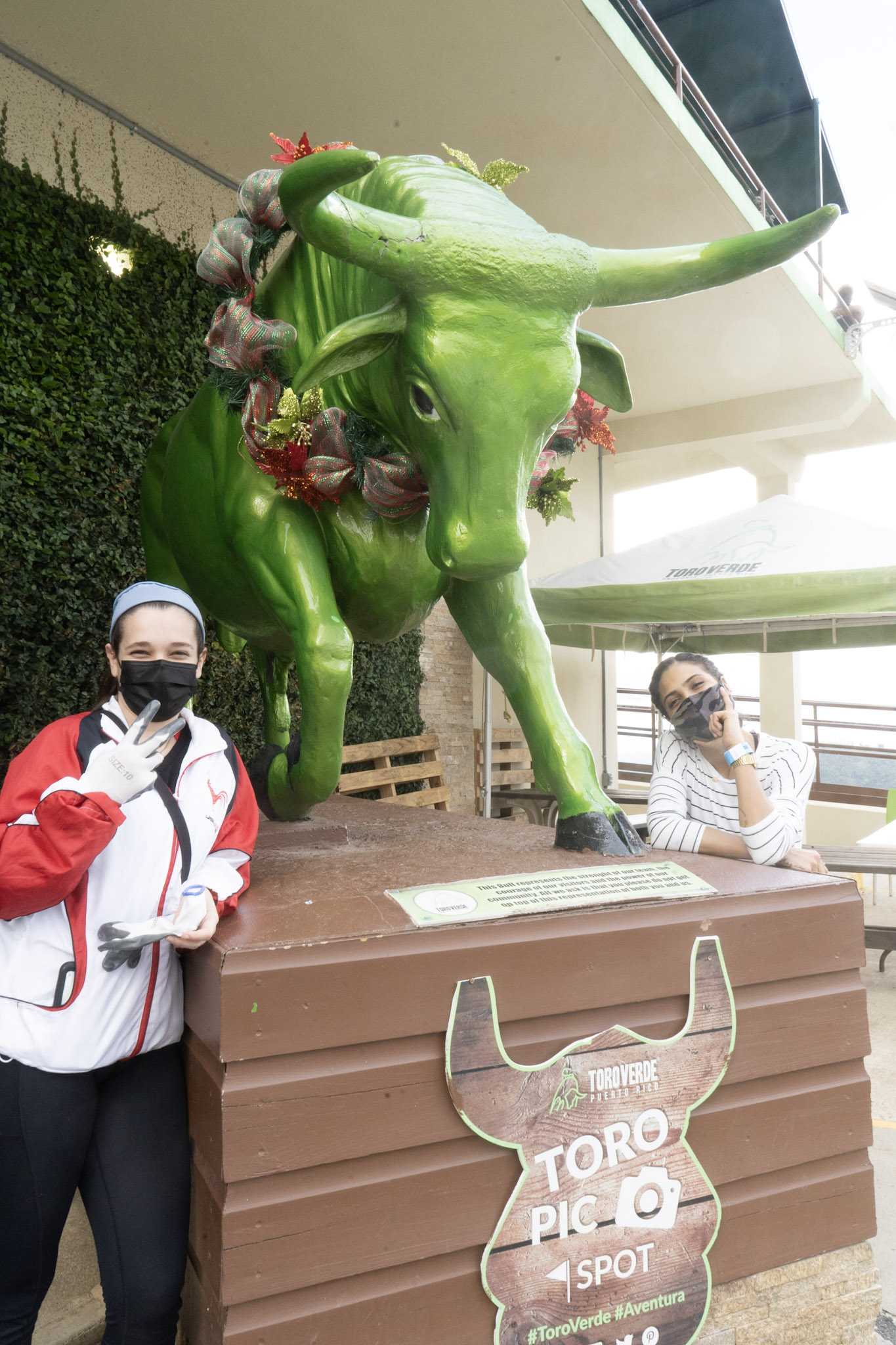 2020-12-28_Toro_Verde - foto 33