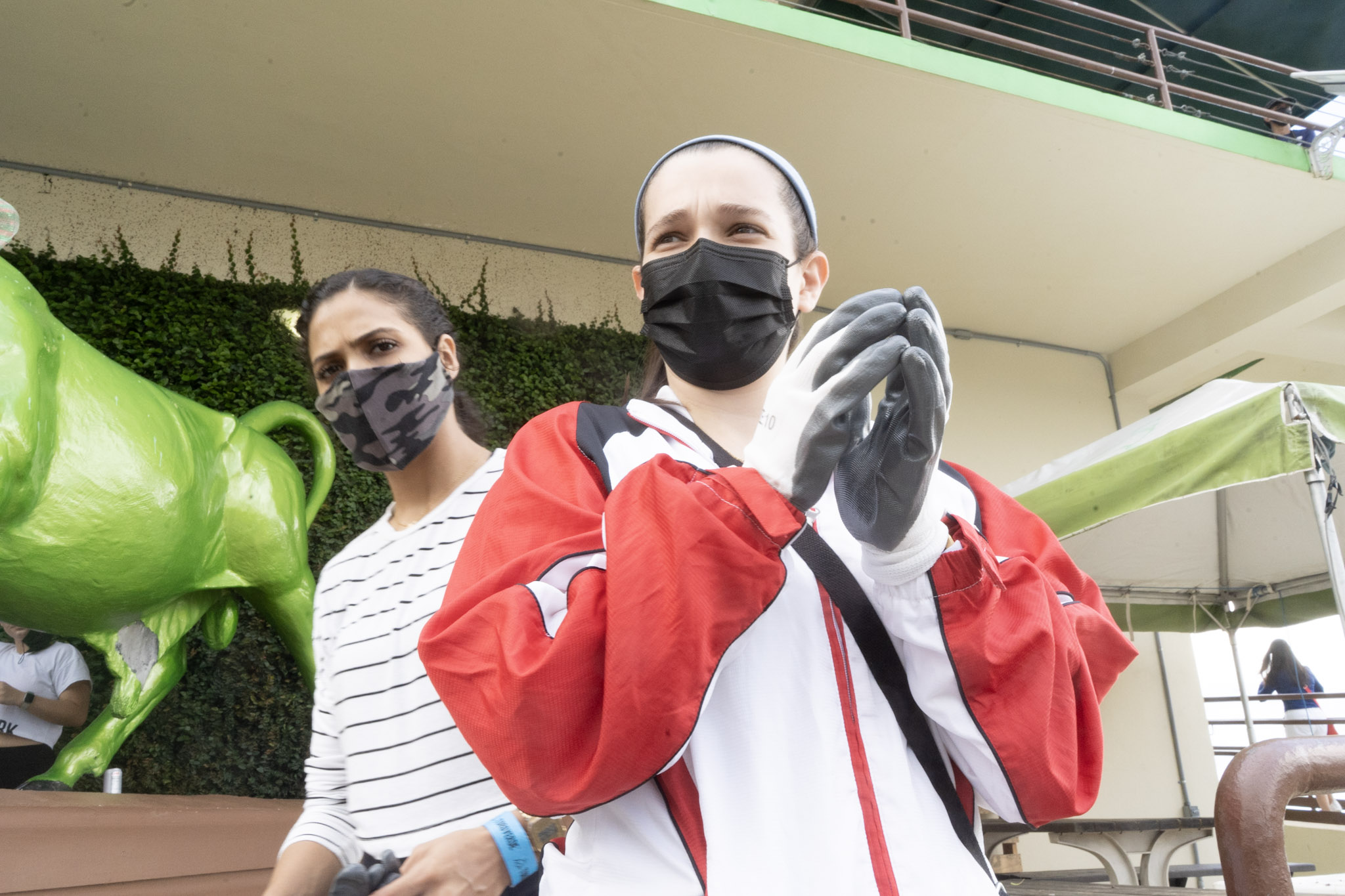 2020-12-28_Toro_Verde - foto 36