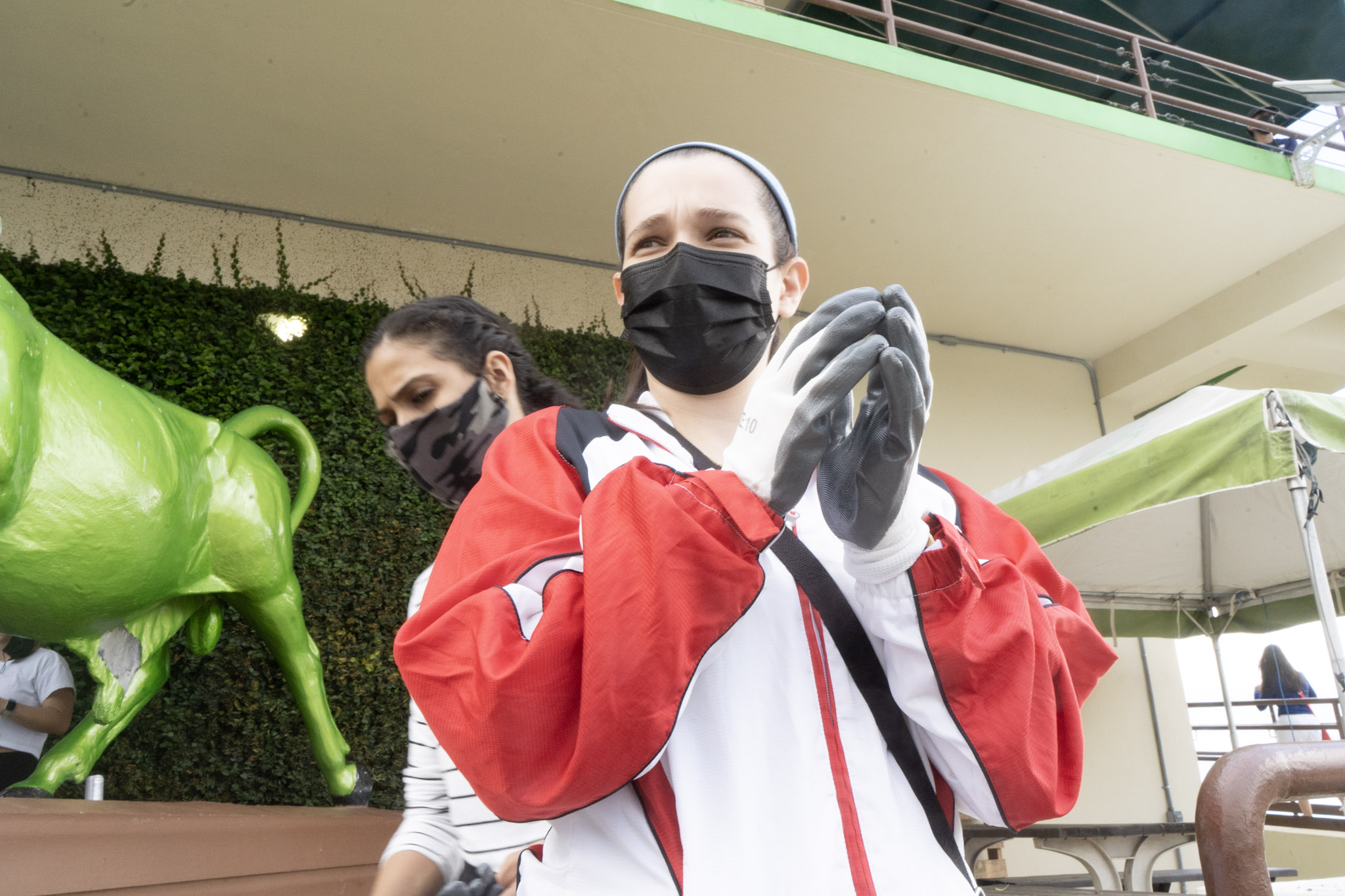 2020-12-28_Toro_Verde - foto 37