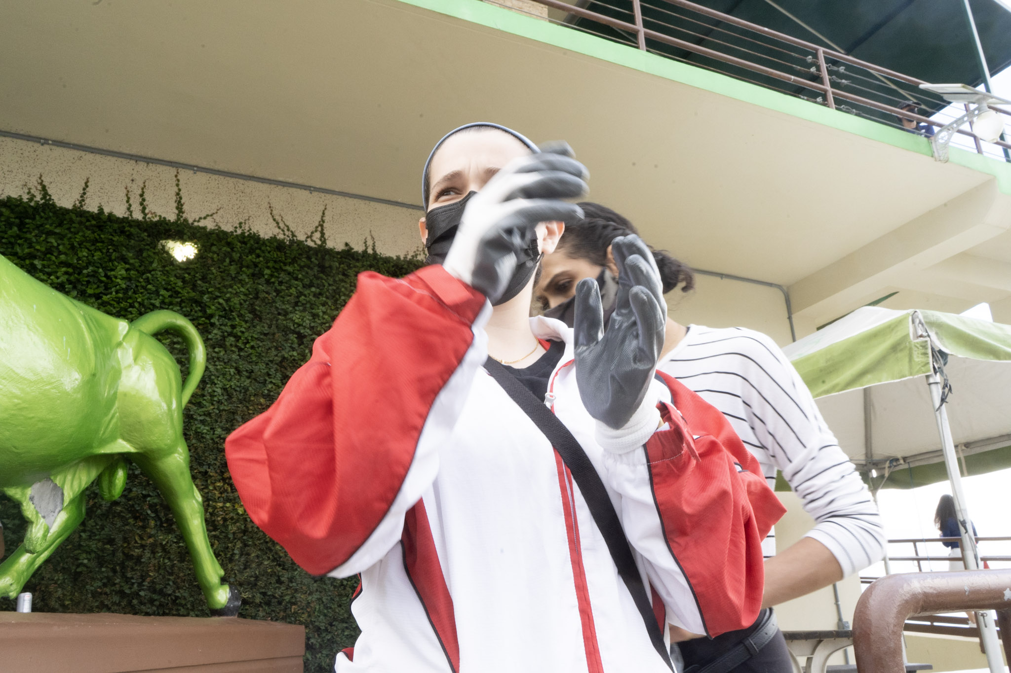 2020-12-28_Toro_Verde - foto 38