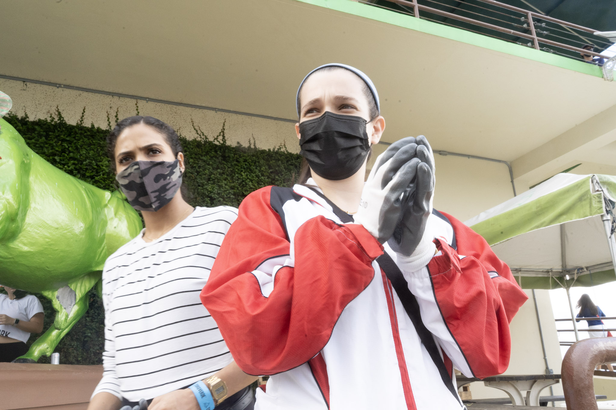 2020-12-28_Toro_Verde - foto 42