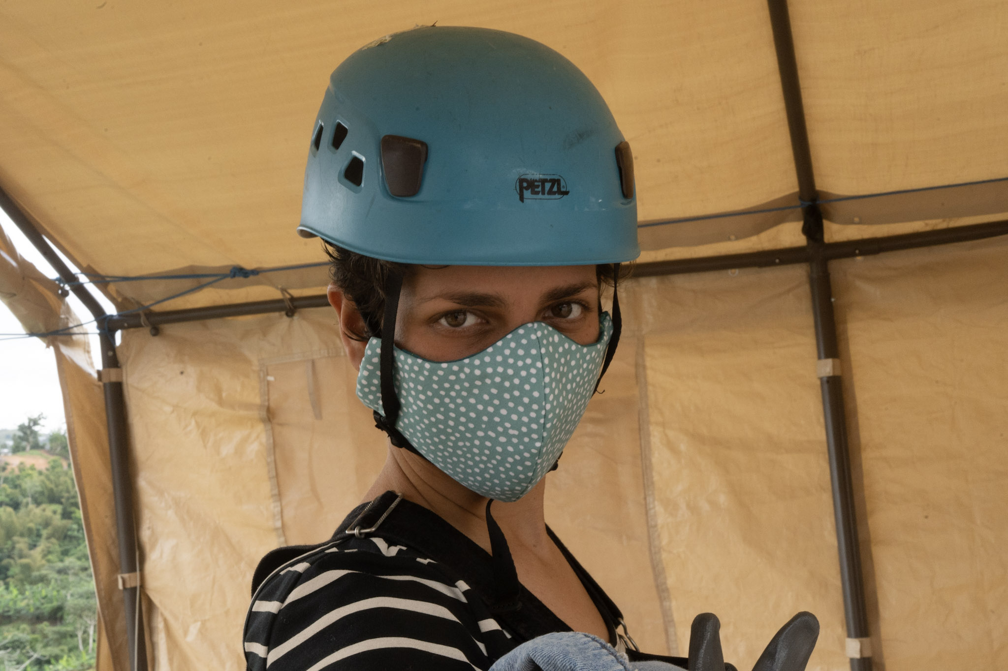 2020-12-28_Toro_Verde - foto 48