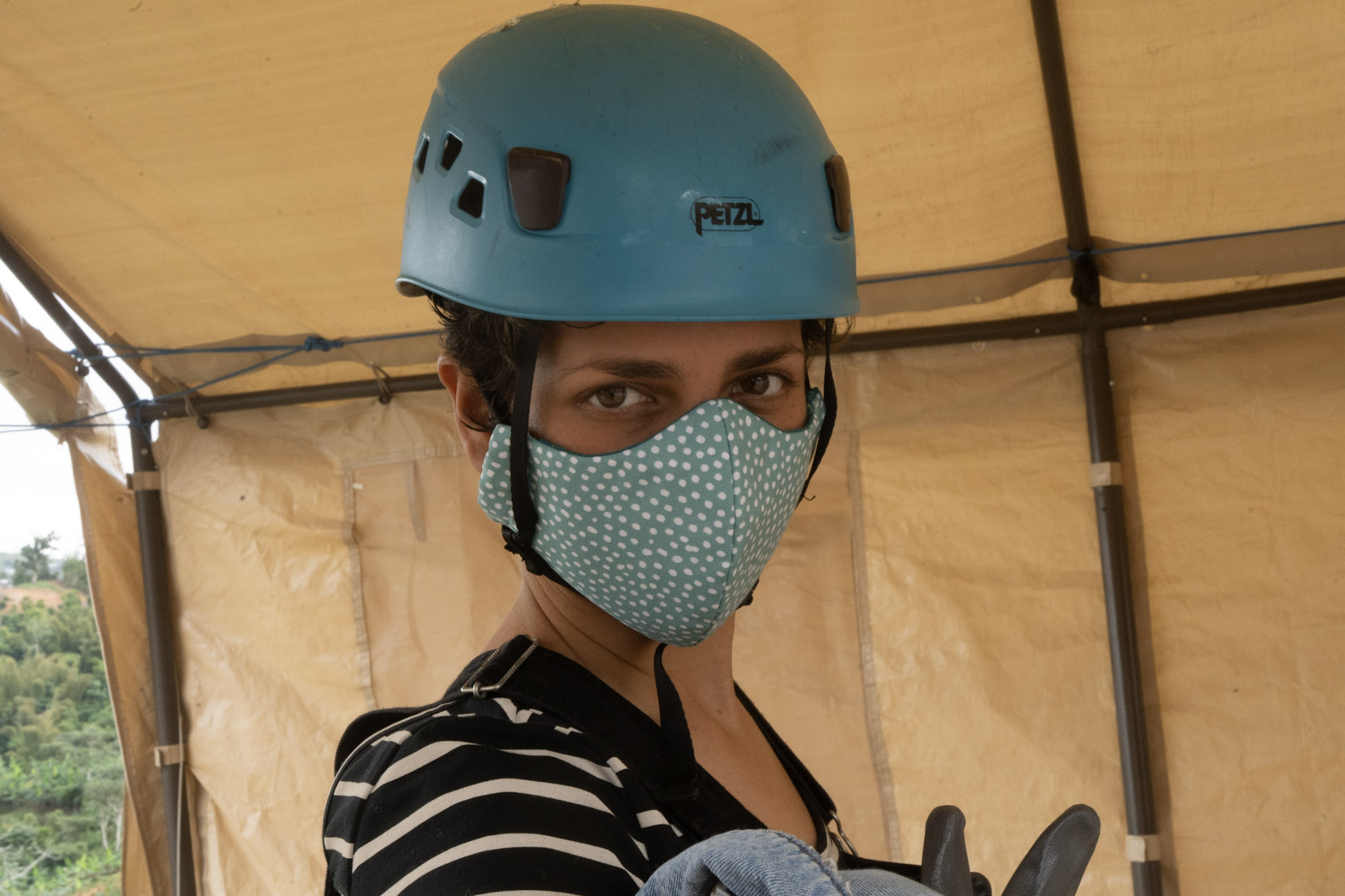 2020-12-28_Toro_Verde - foto 49