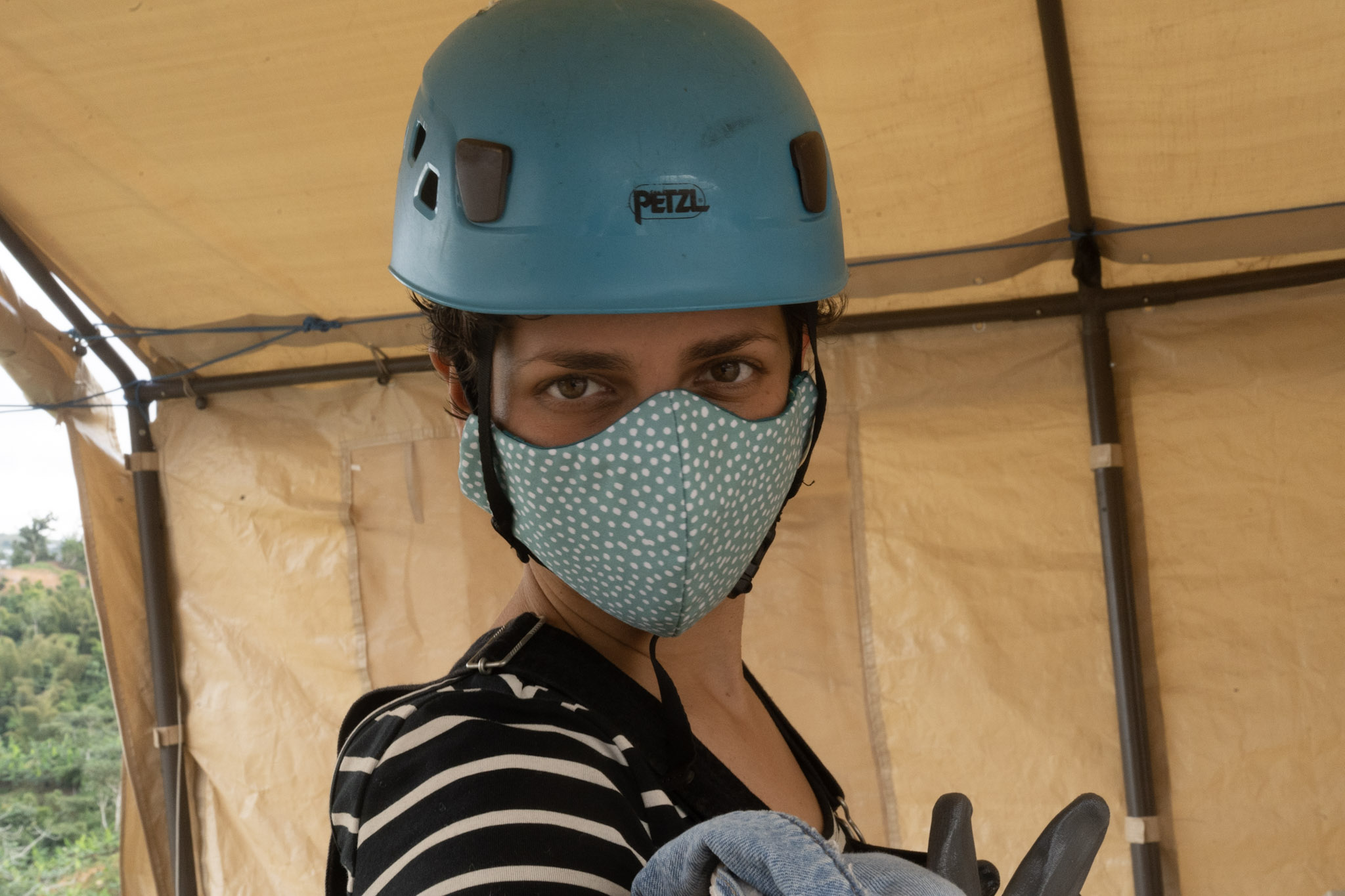 2020-12-28_Toro_Verde - foto 50