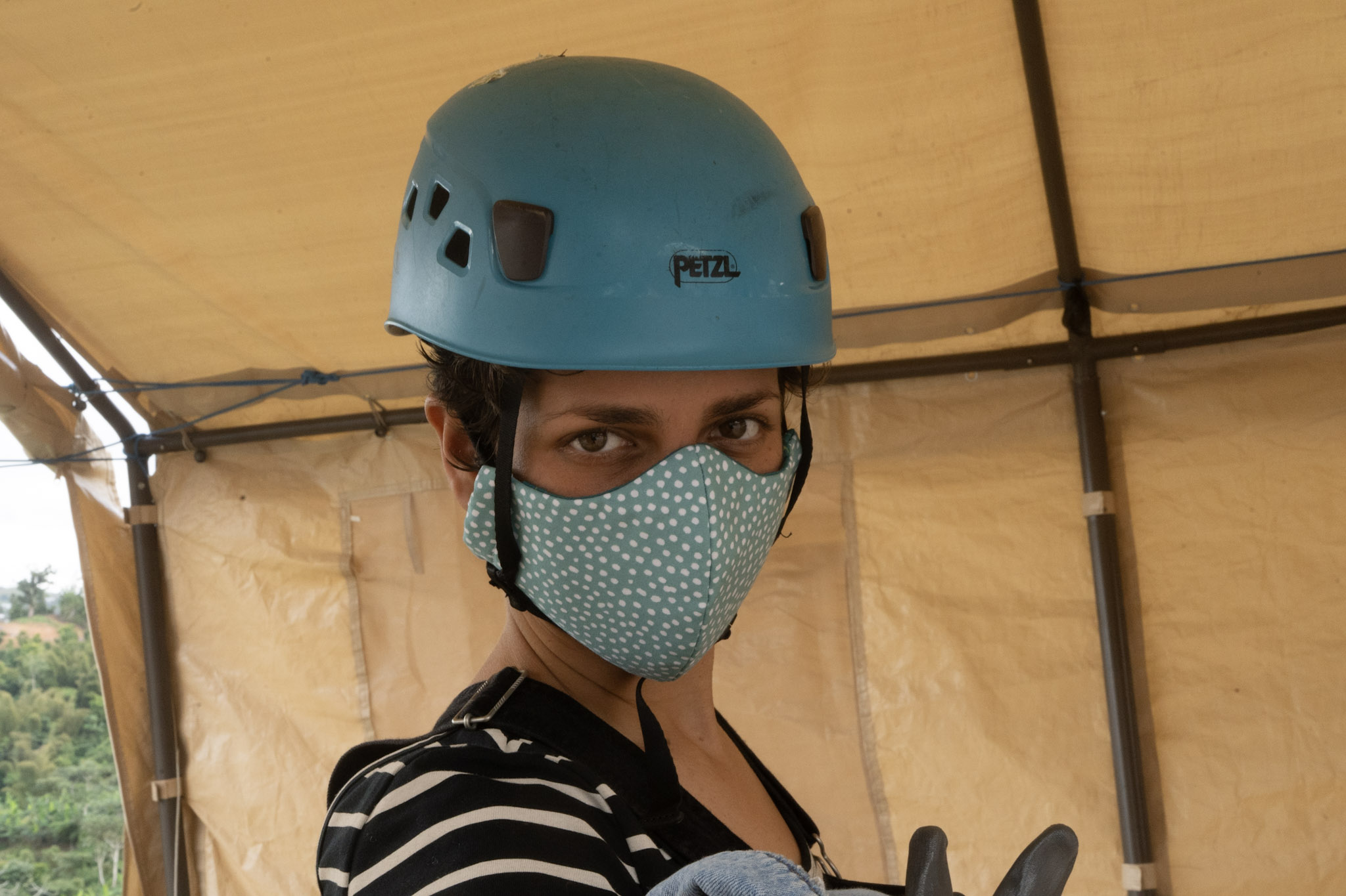 2020-12-28_Toro_Verde - foto 51