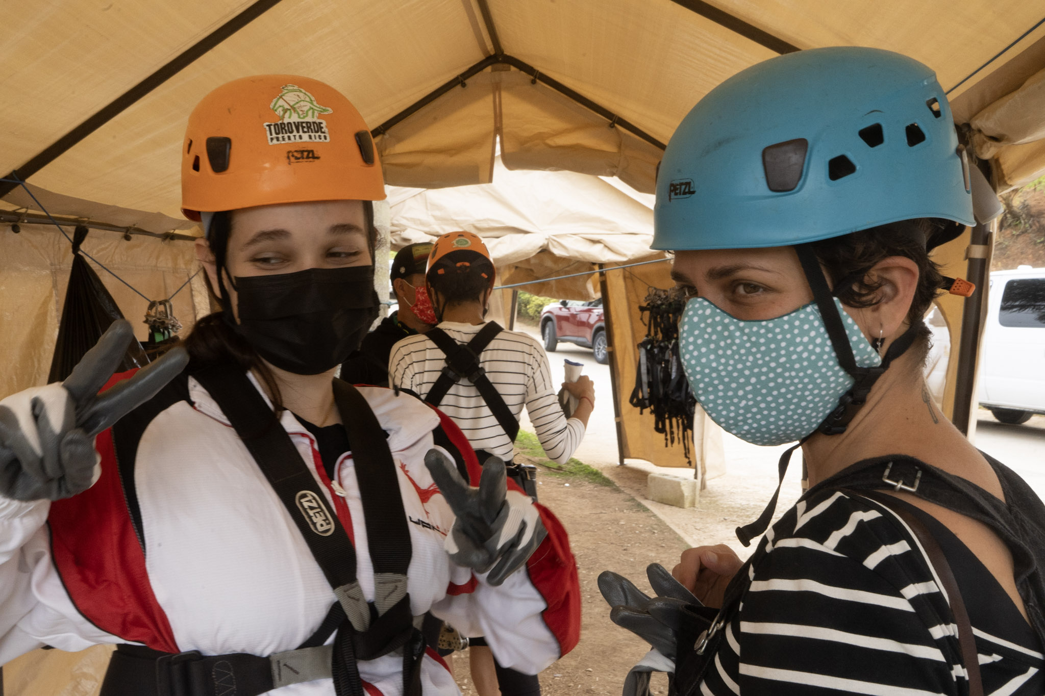 2020-12-28_Toro_Verde - foto 69