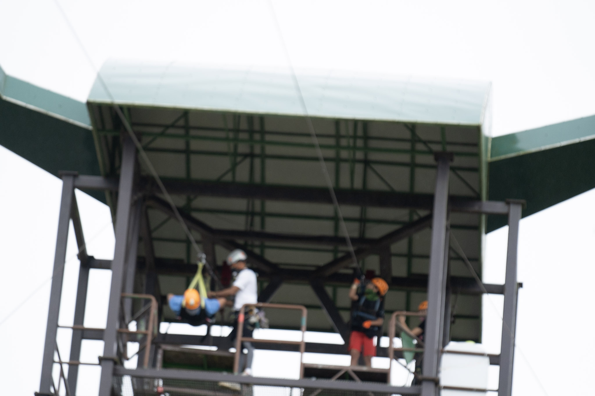 2020-12-28_Toro_Verde - foto 86