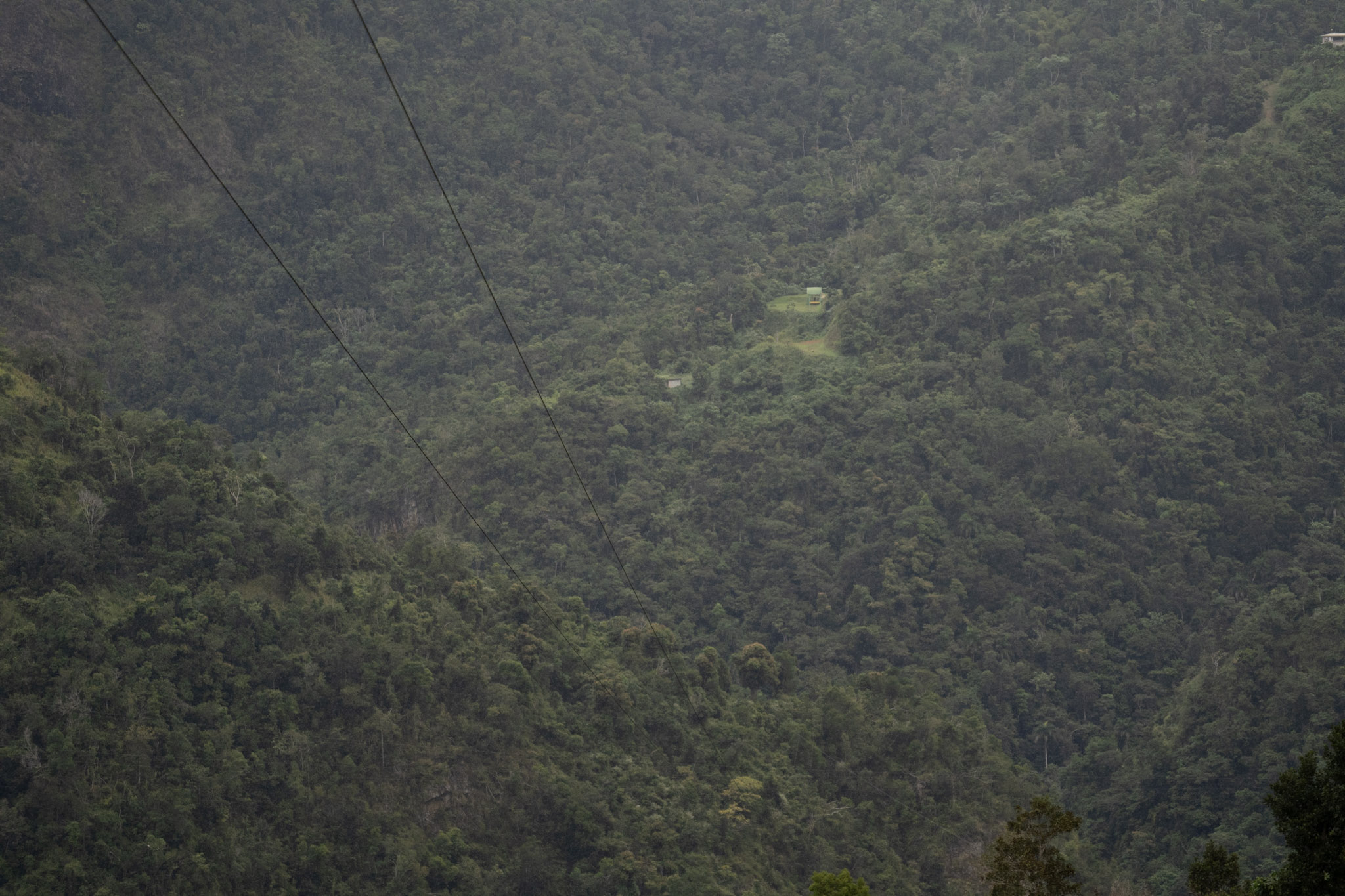 2020-12-28_Toro_Verde - foto 96