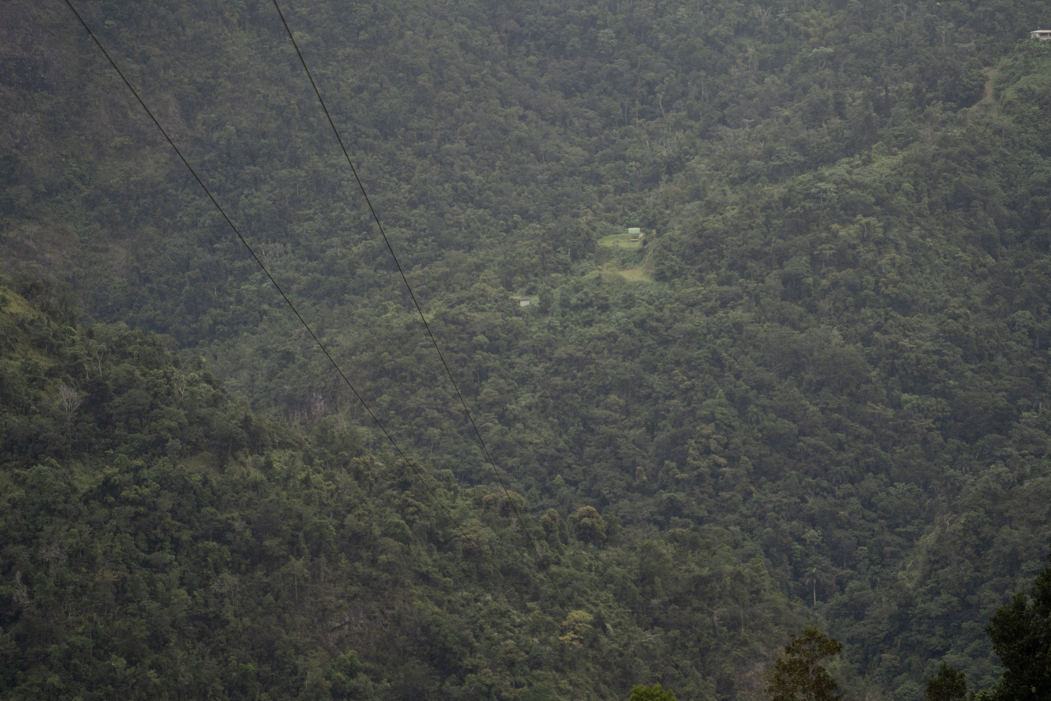 2020-12-28_Toro_Verde - foto 97