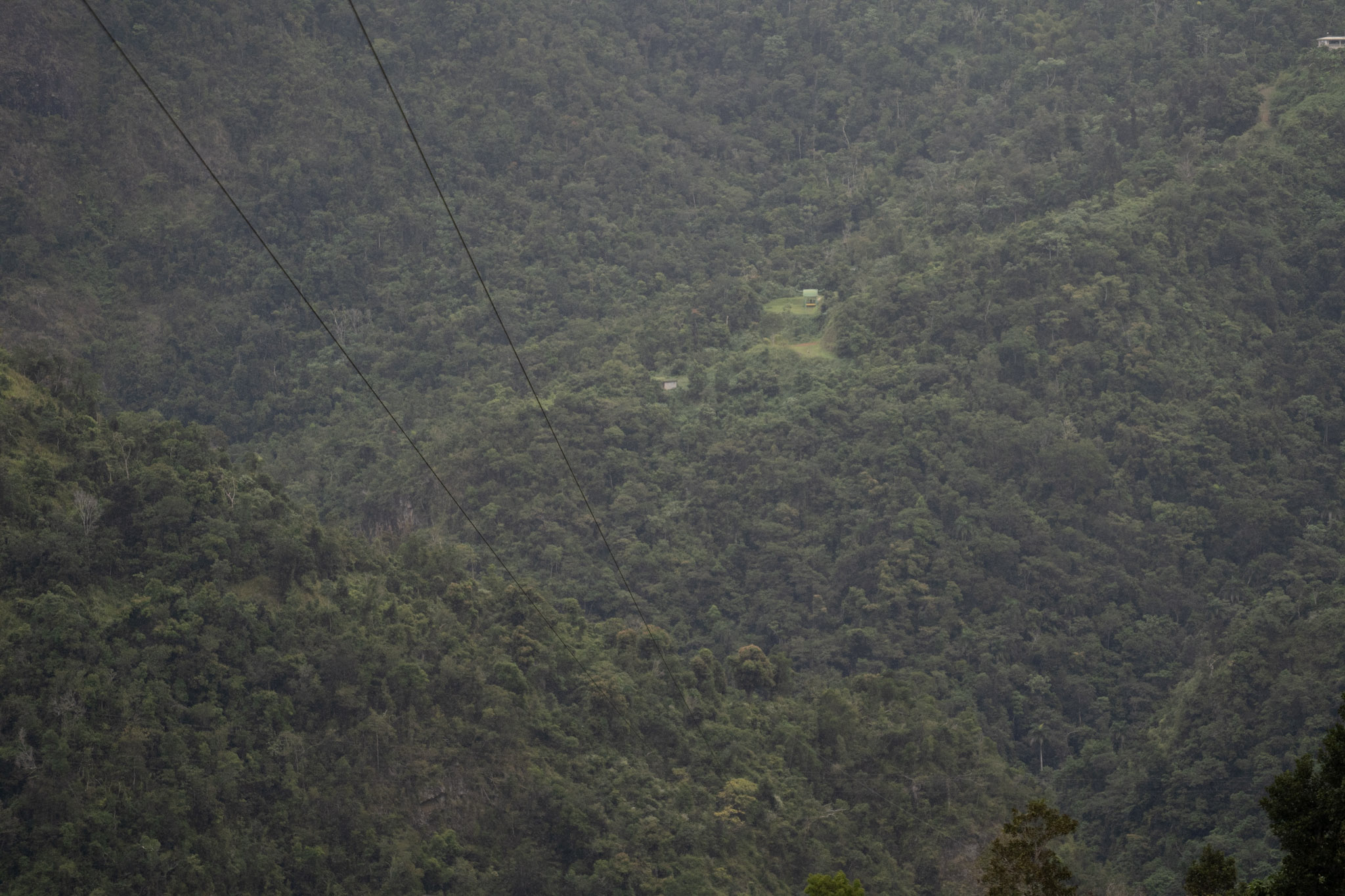 2020-12-28_Toro_Verde - foto 98