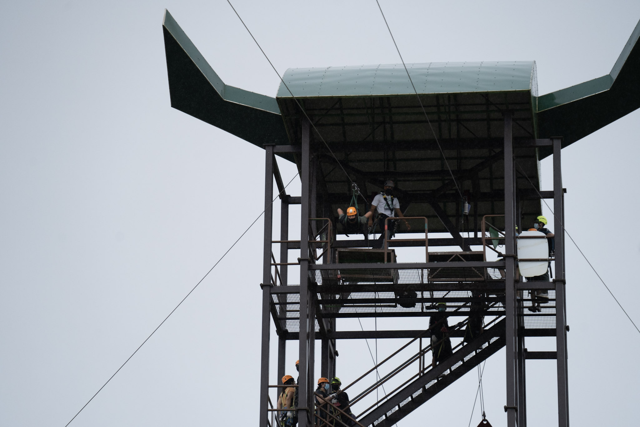 2020-12-28_Toro_Verde - foto 108