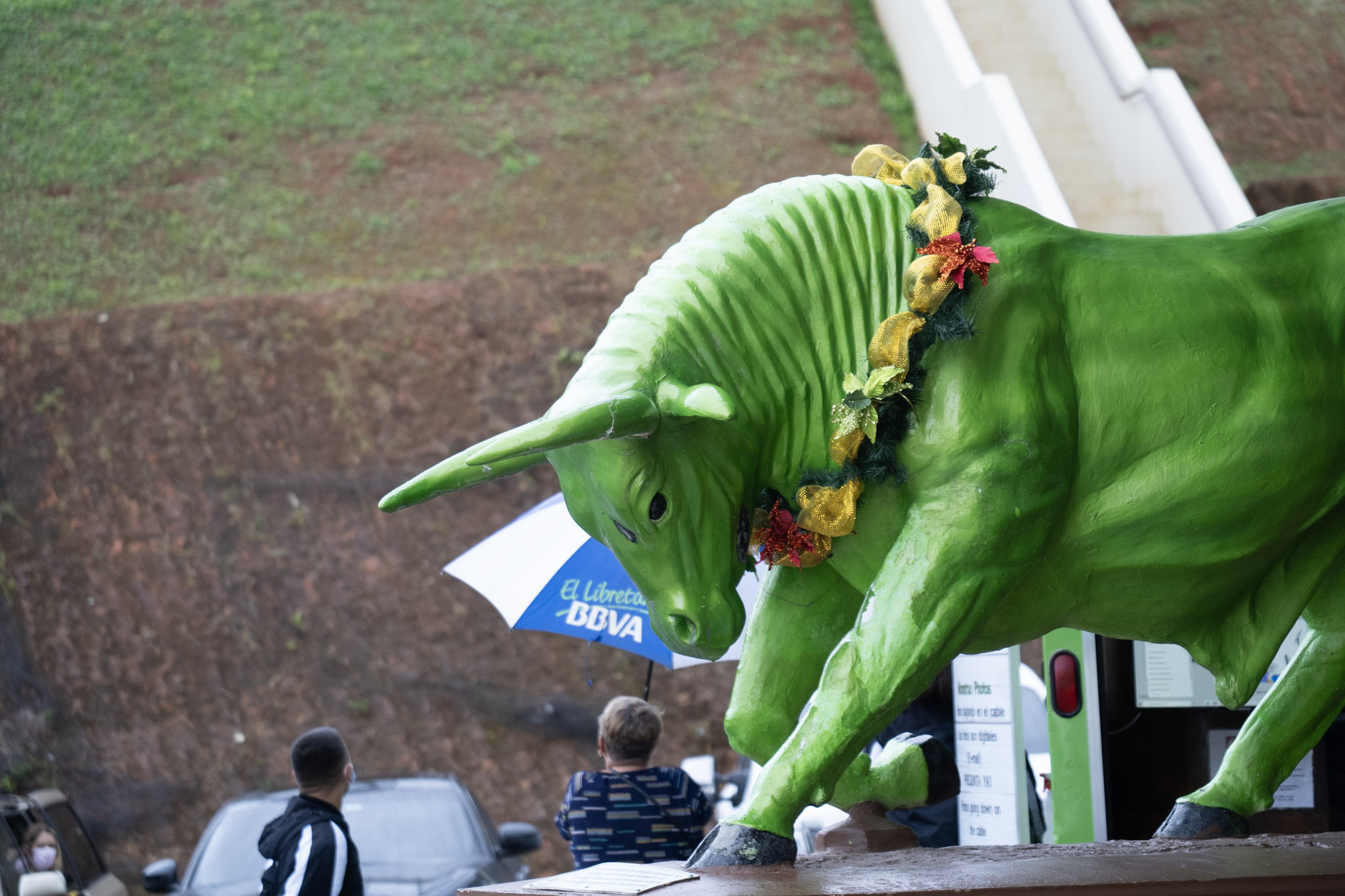 2020-12-28_Toro_Verde - foto 109