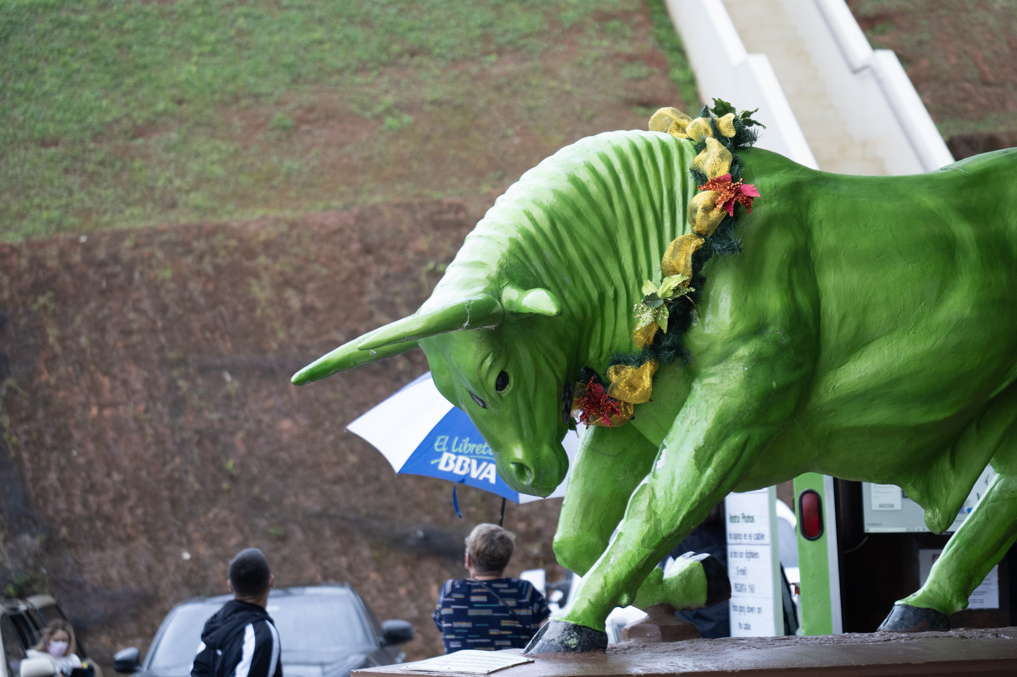 2020-12-28_Toro_Verde - foto 110