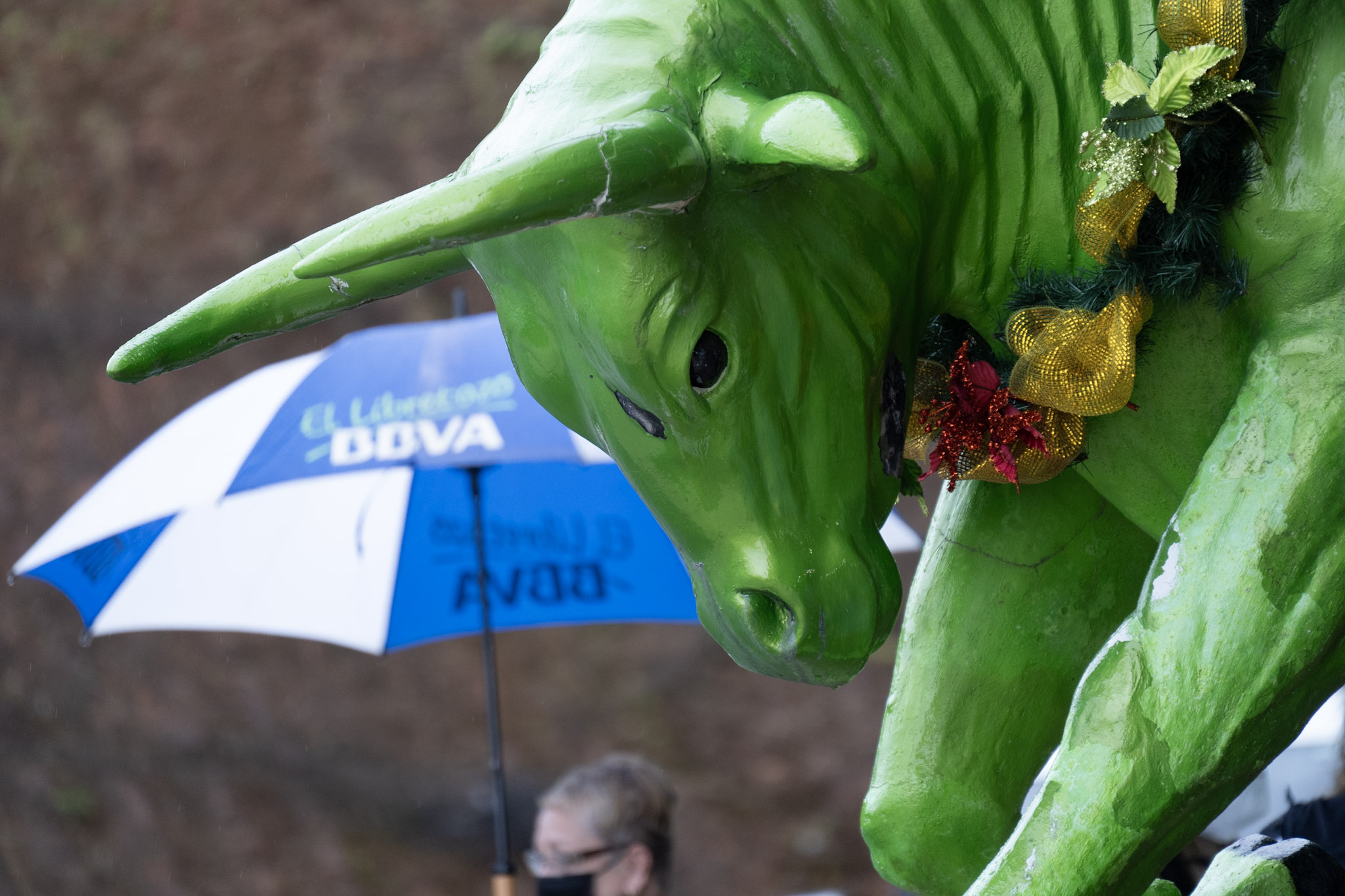 2020-12-28_Toro_Verde - foto 111