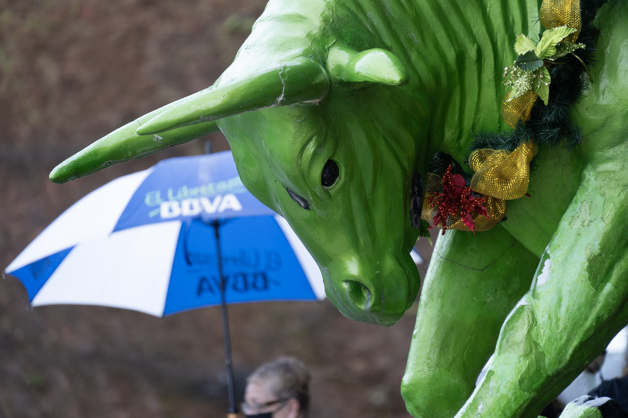 2020-12-28_Toro_Verde - foto 112