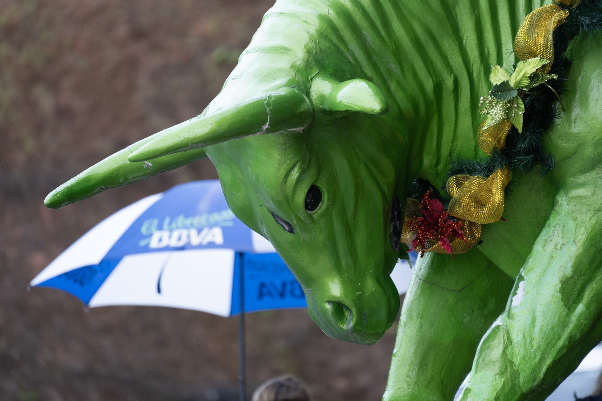 2020-12-28_Toro_Verde - foto 113