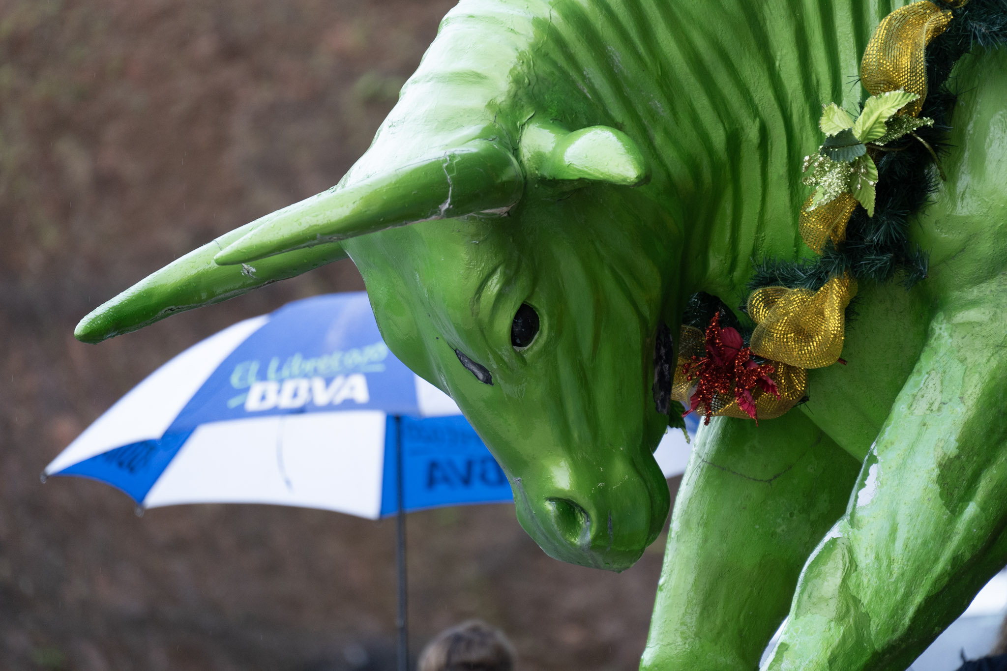 2020-12-28_Toro_Verde - foto 114