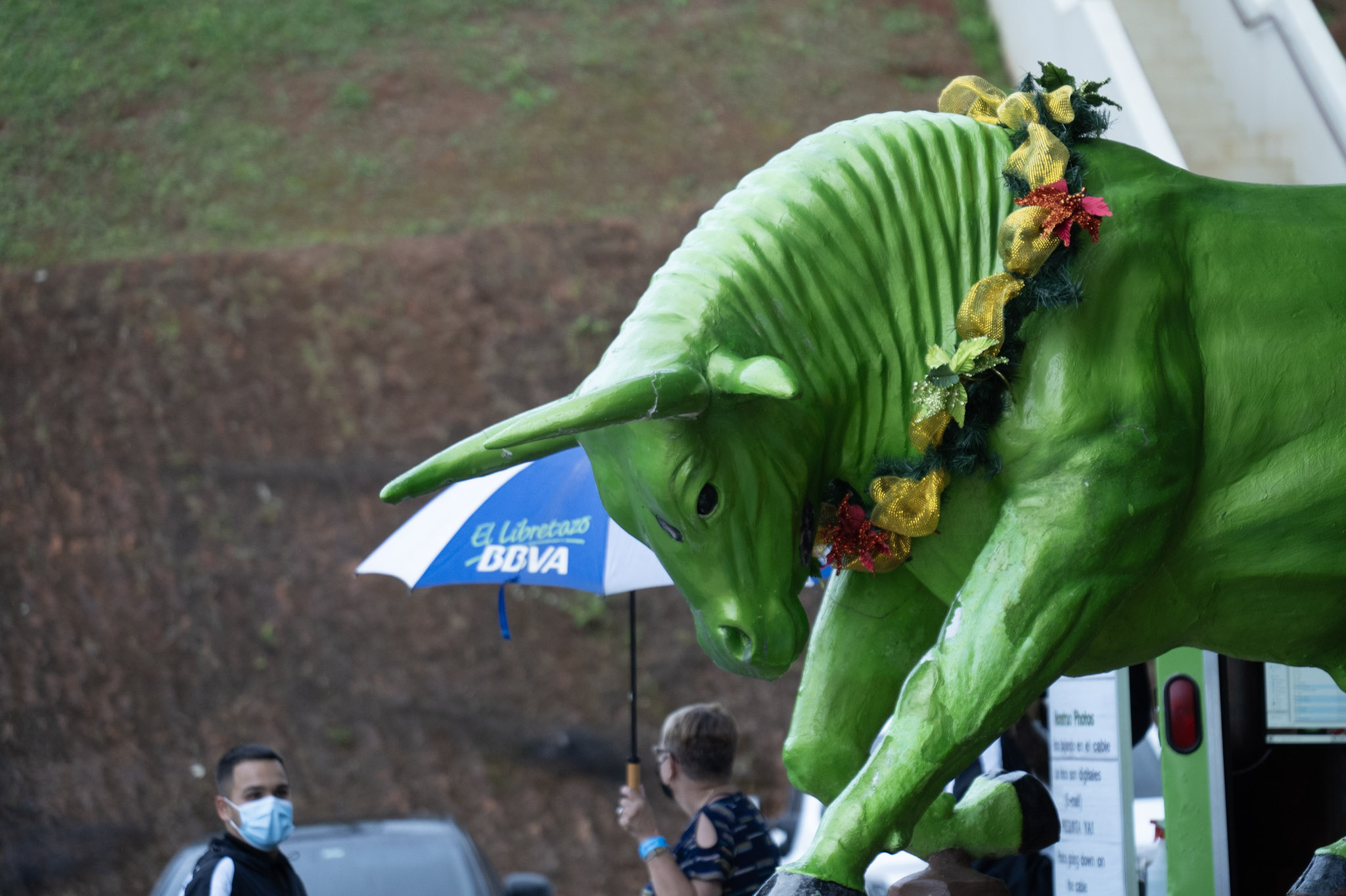 2020-12-28_Toro_Verde - foto 115